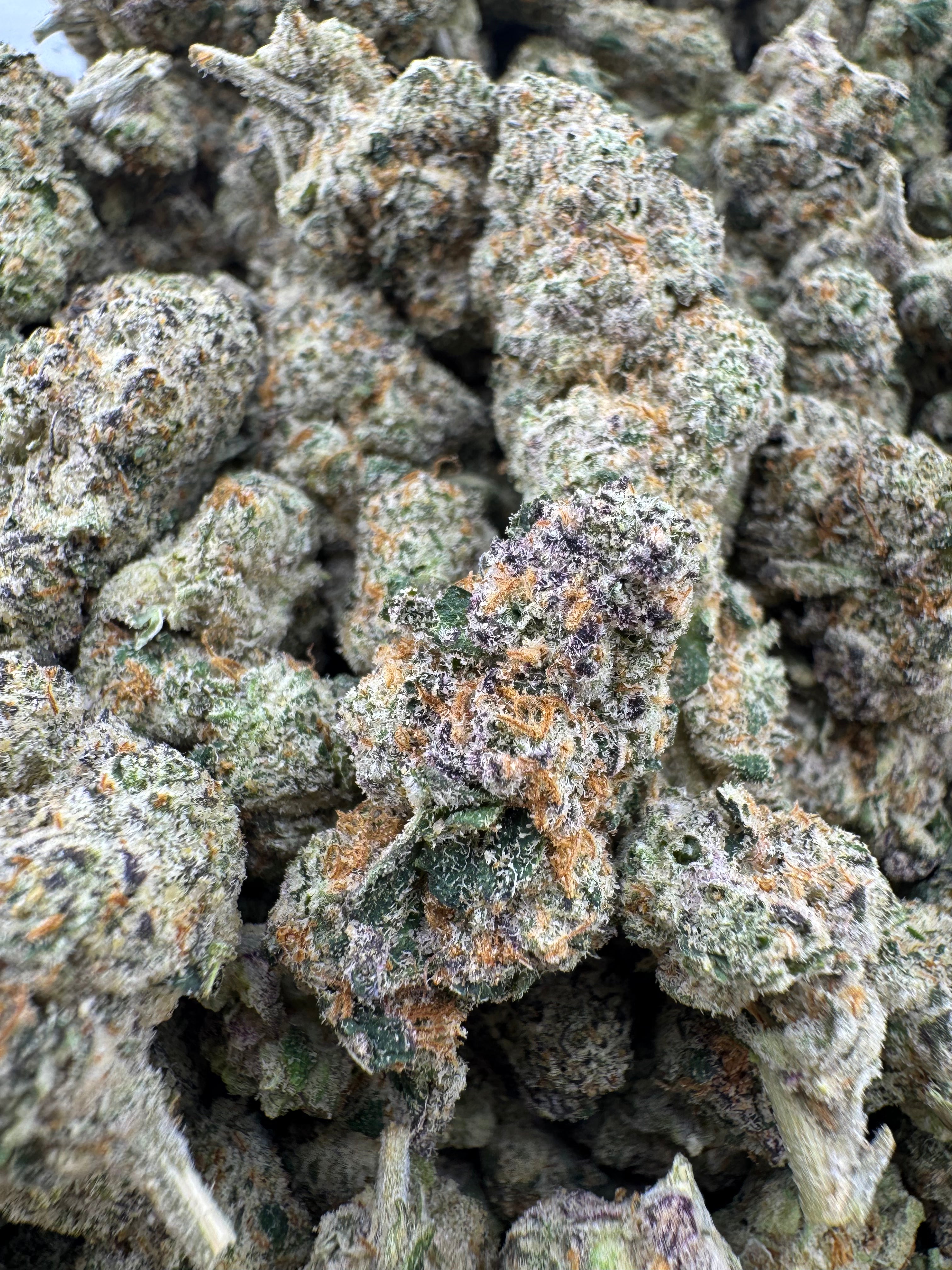 Purple Cocaine