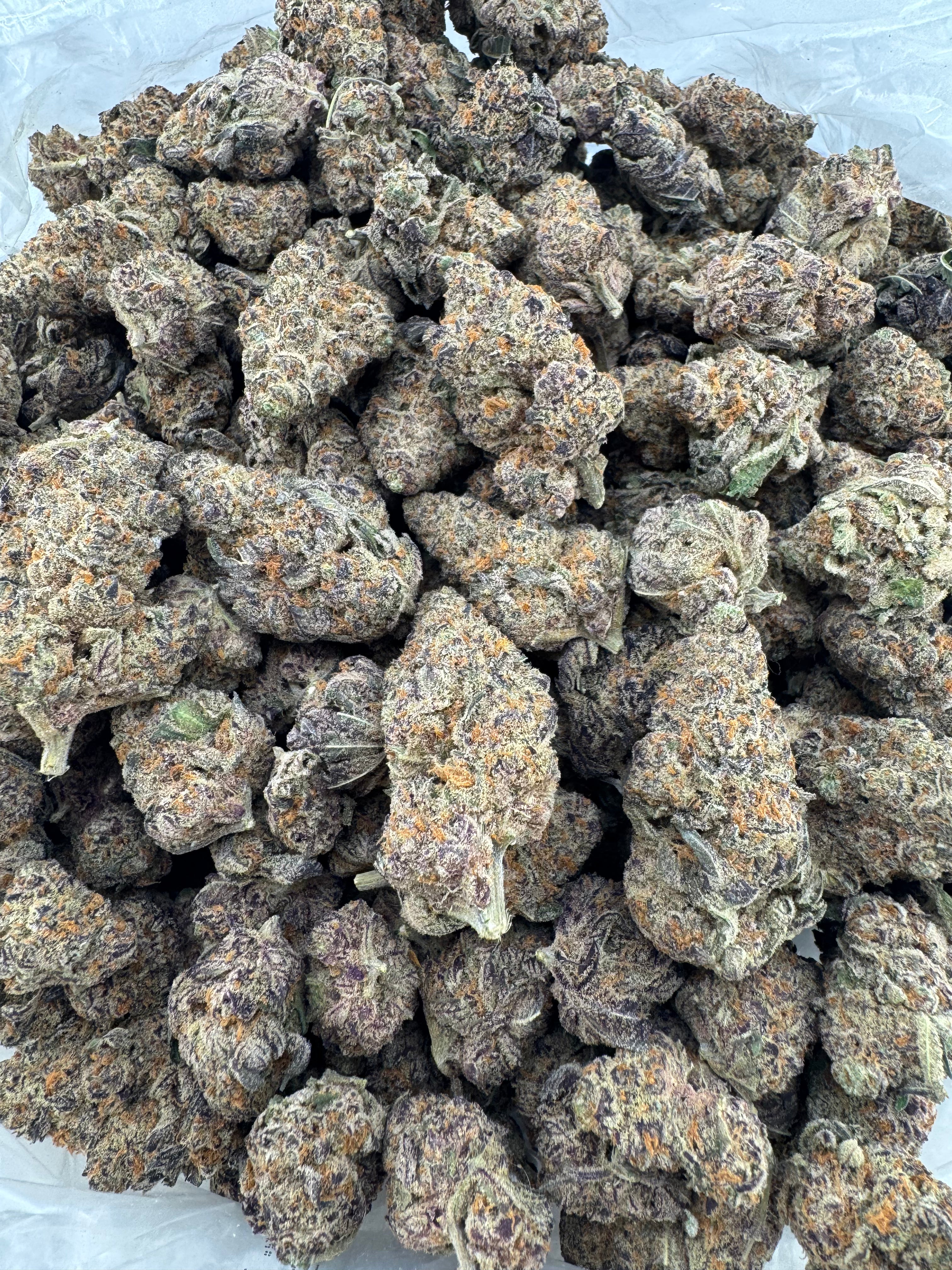 Roofie Gelato