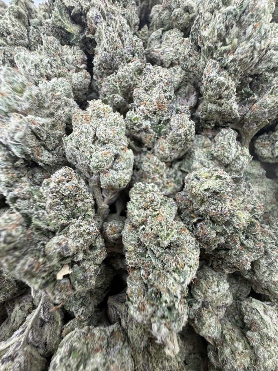 UK Cheese