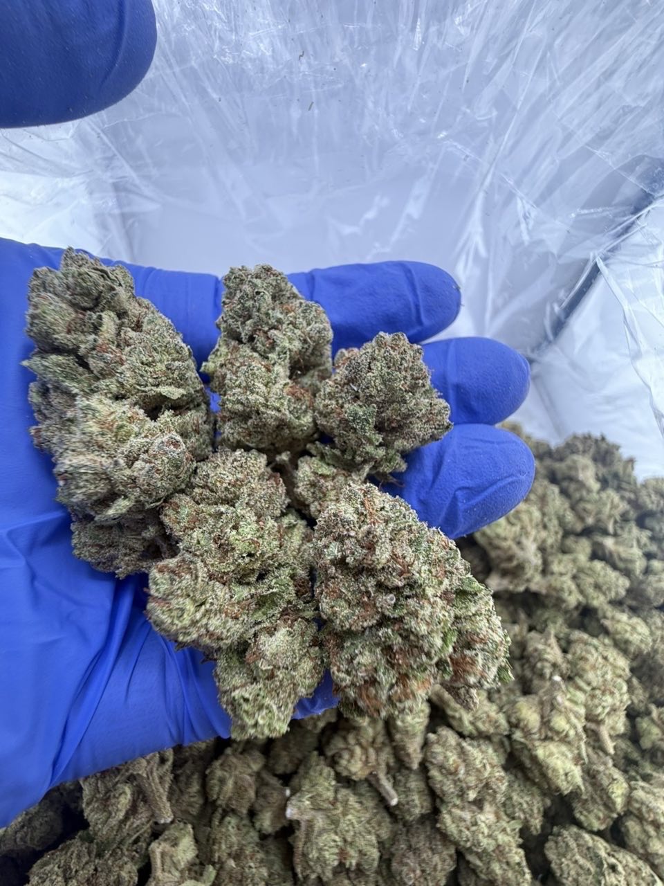 High Tolerance