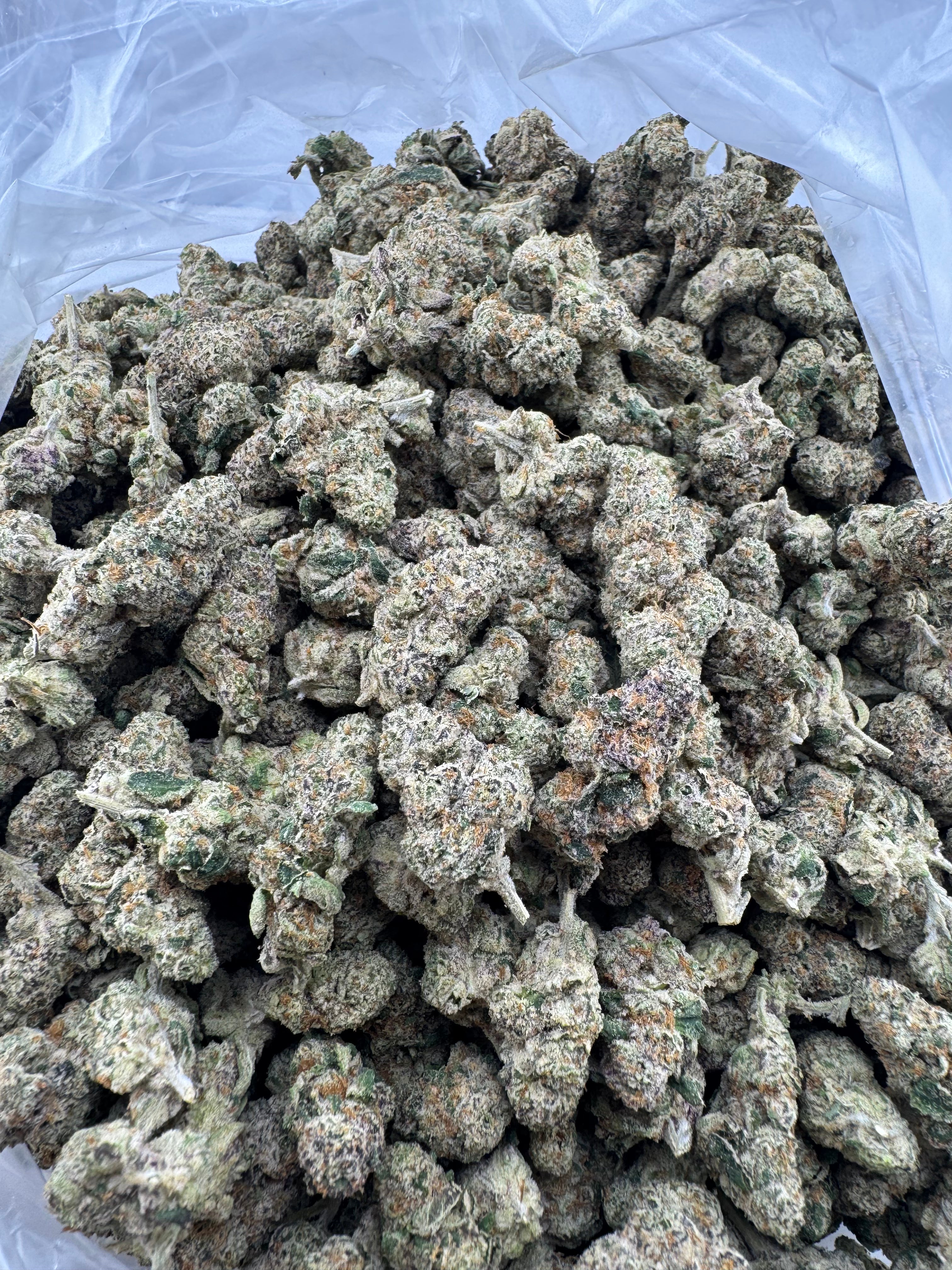 Purple Cocaine