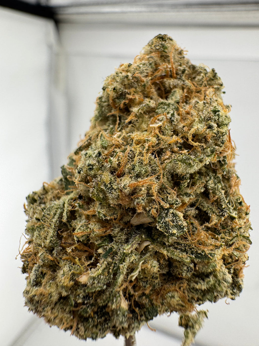 Tahoe OG