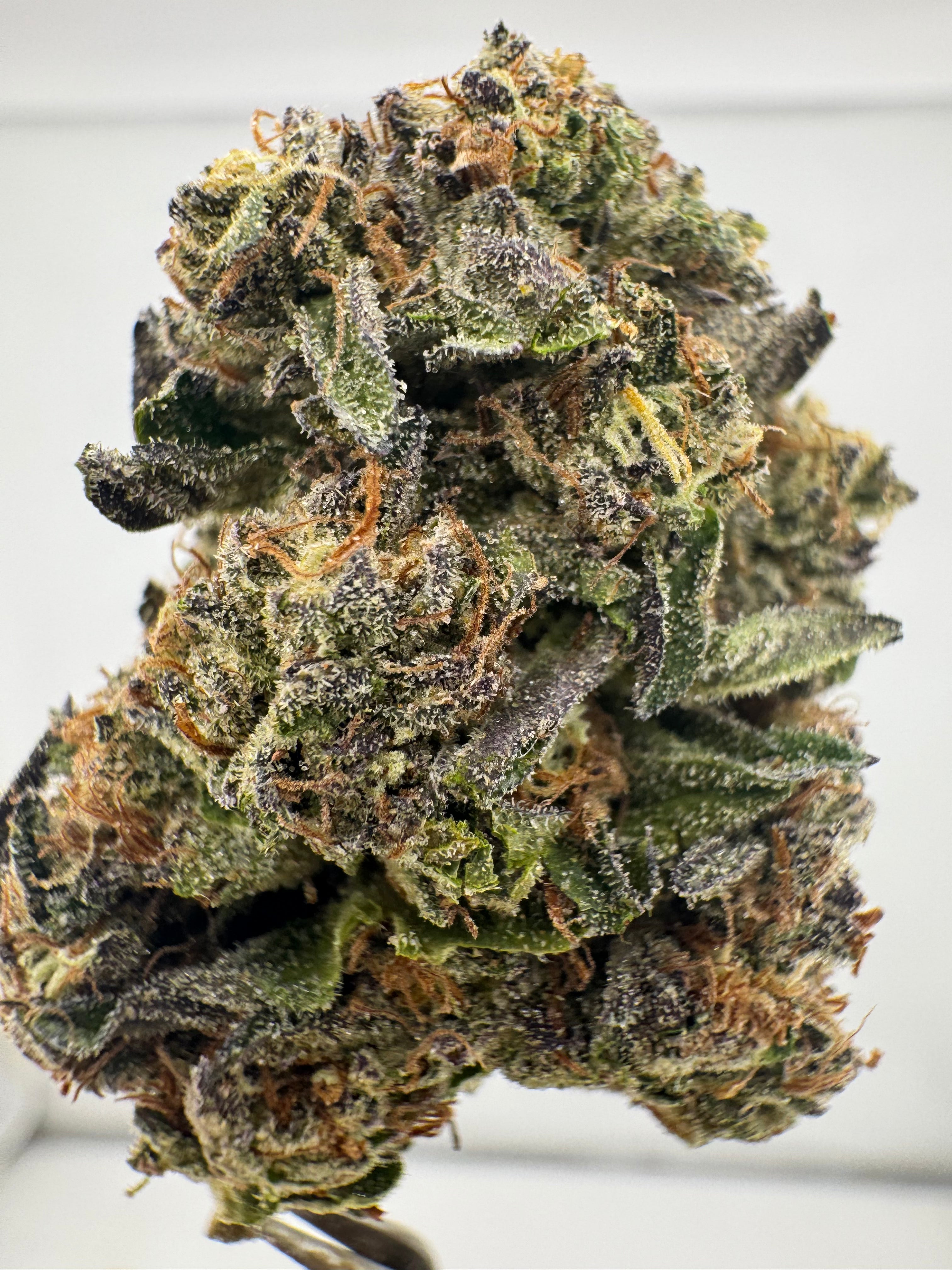 AAA Deps:Purple Punch