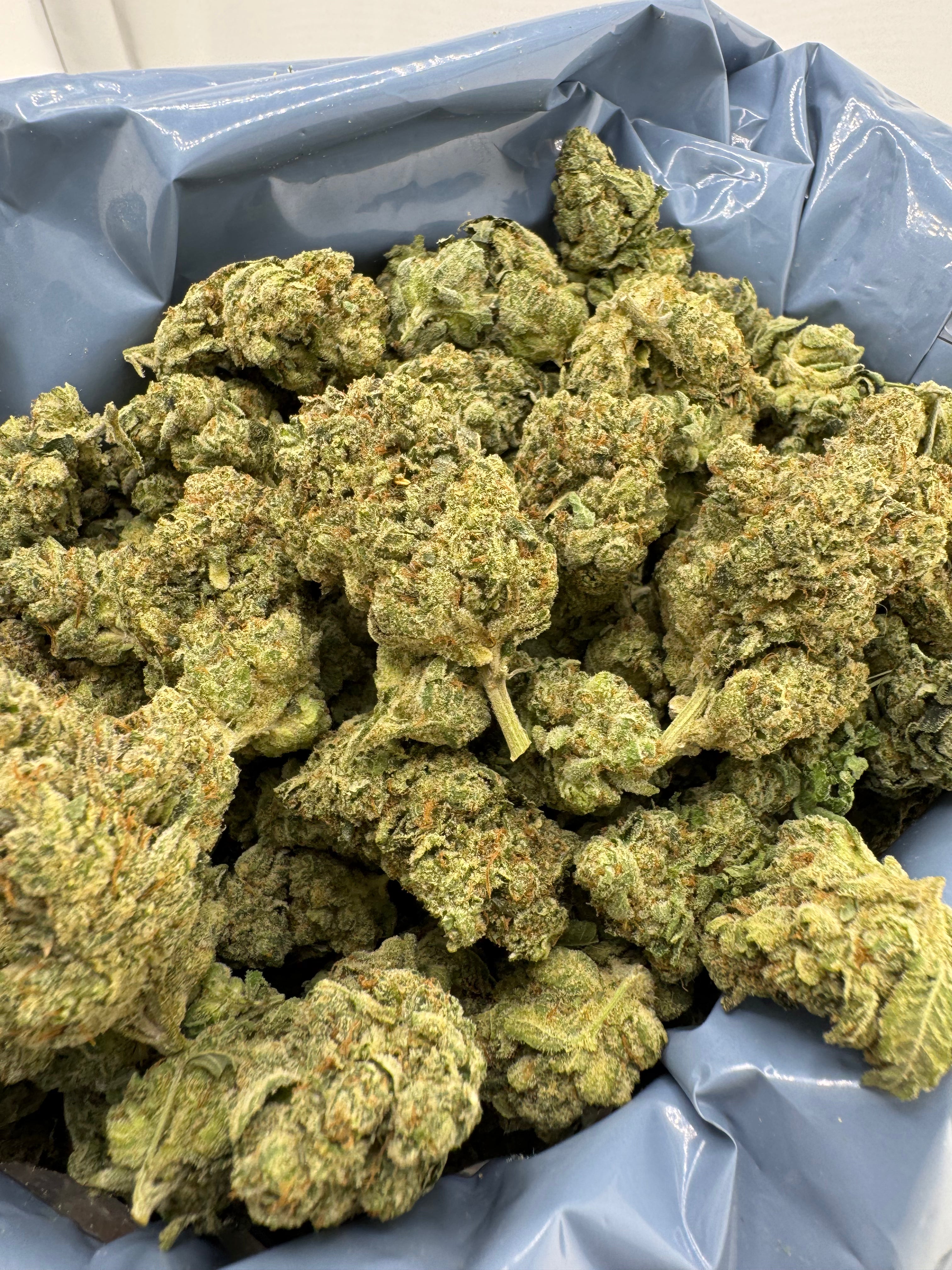 Alien cookies