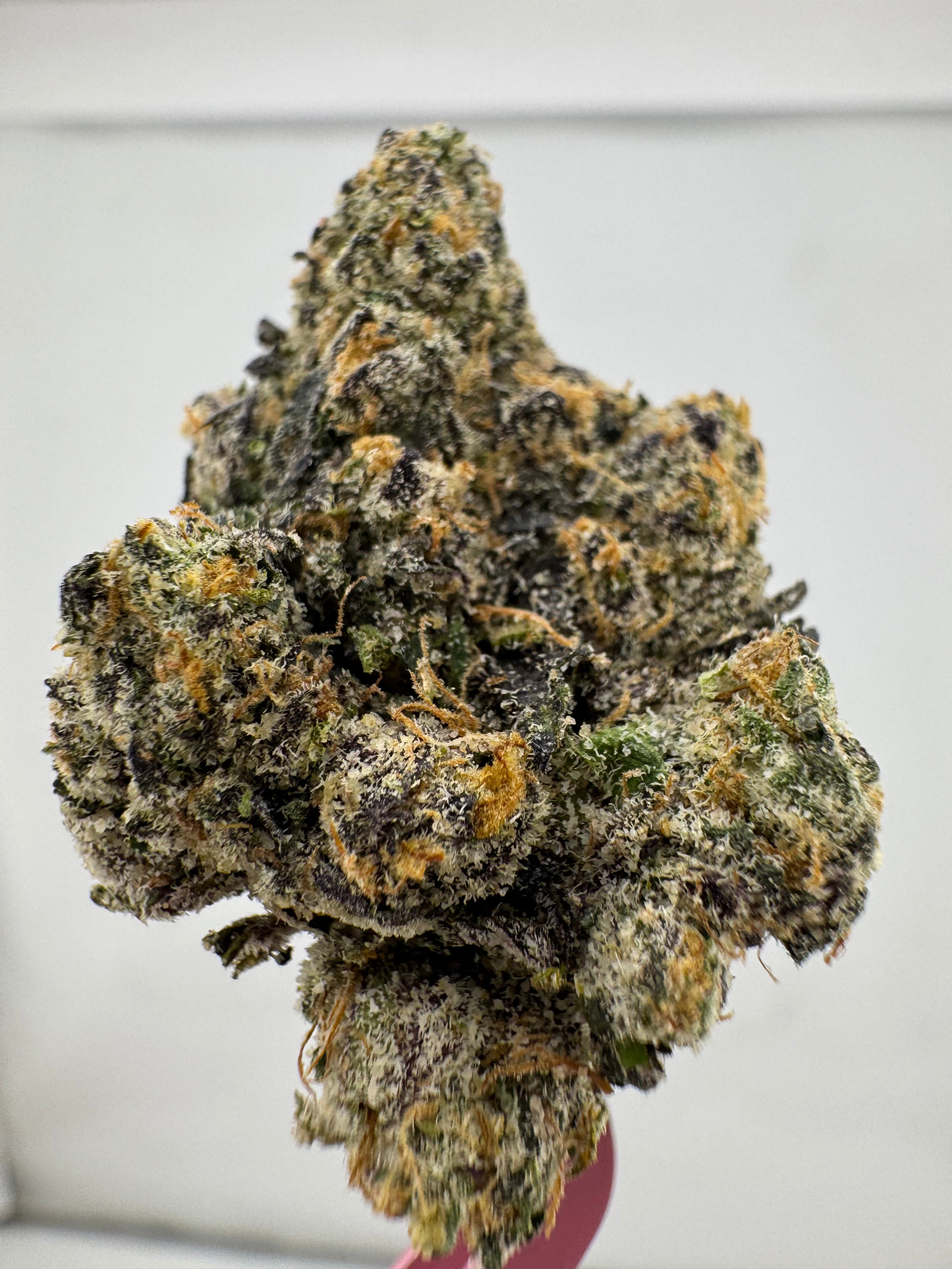 Key Lime