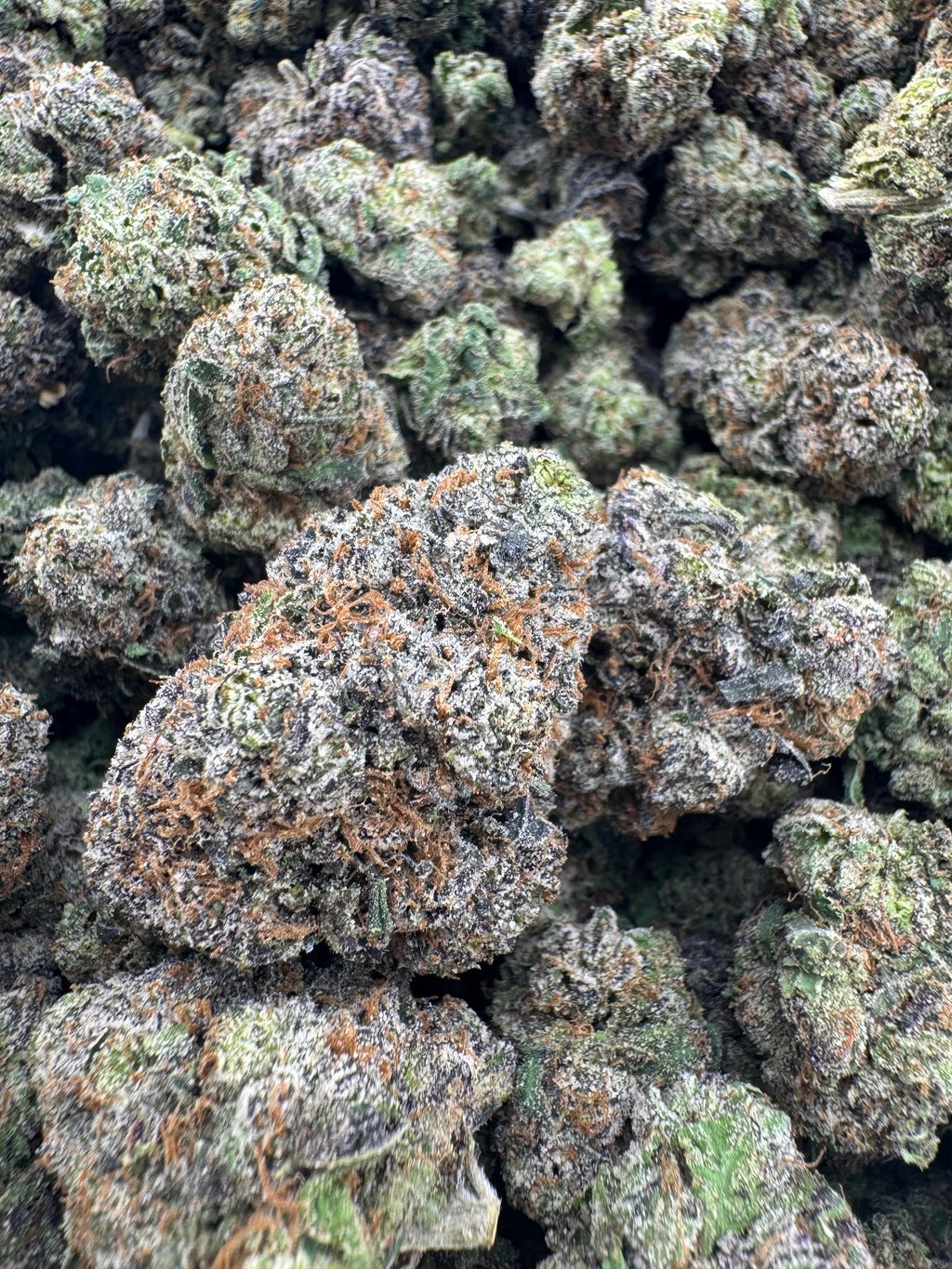 Dreamsicle