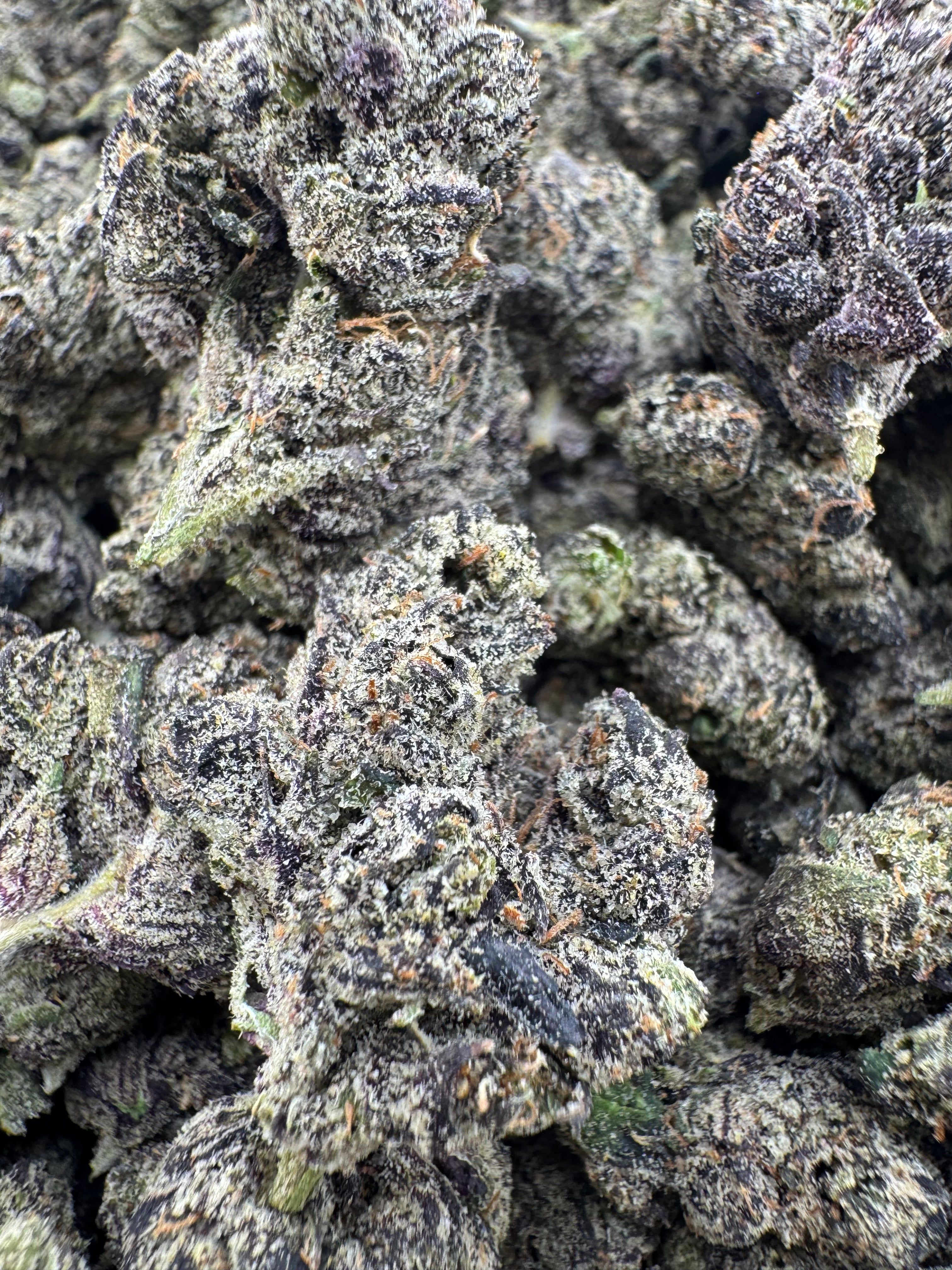 Bubblegum Blasterz