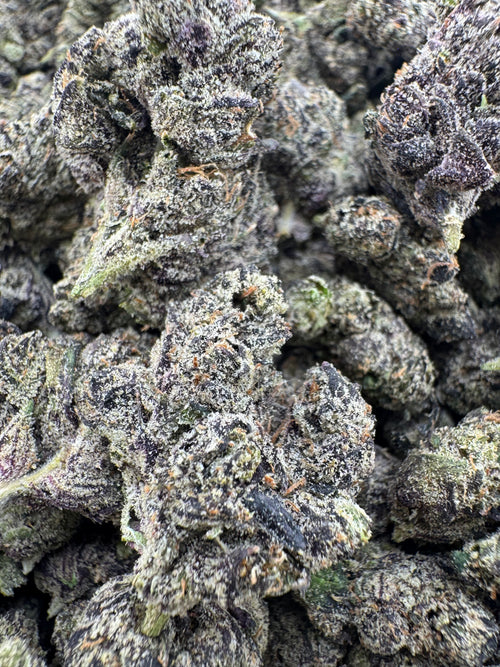 Bubblegum Blasterz