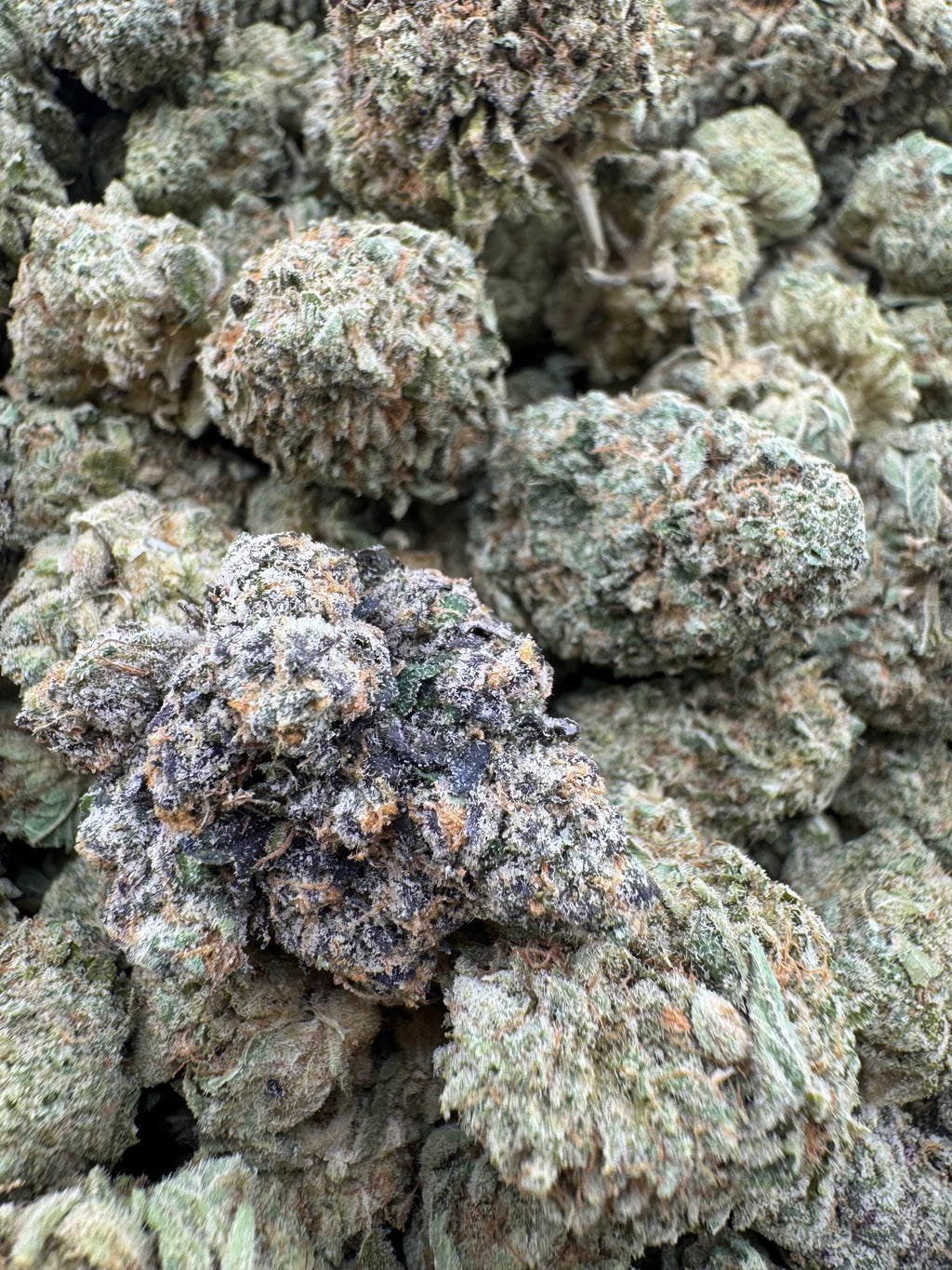 Key Lime