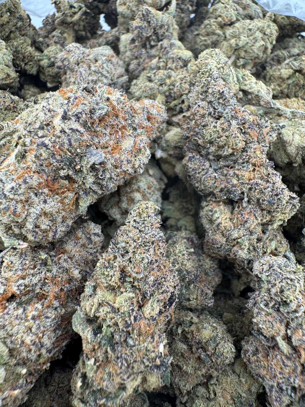 Black Mamba