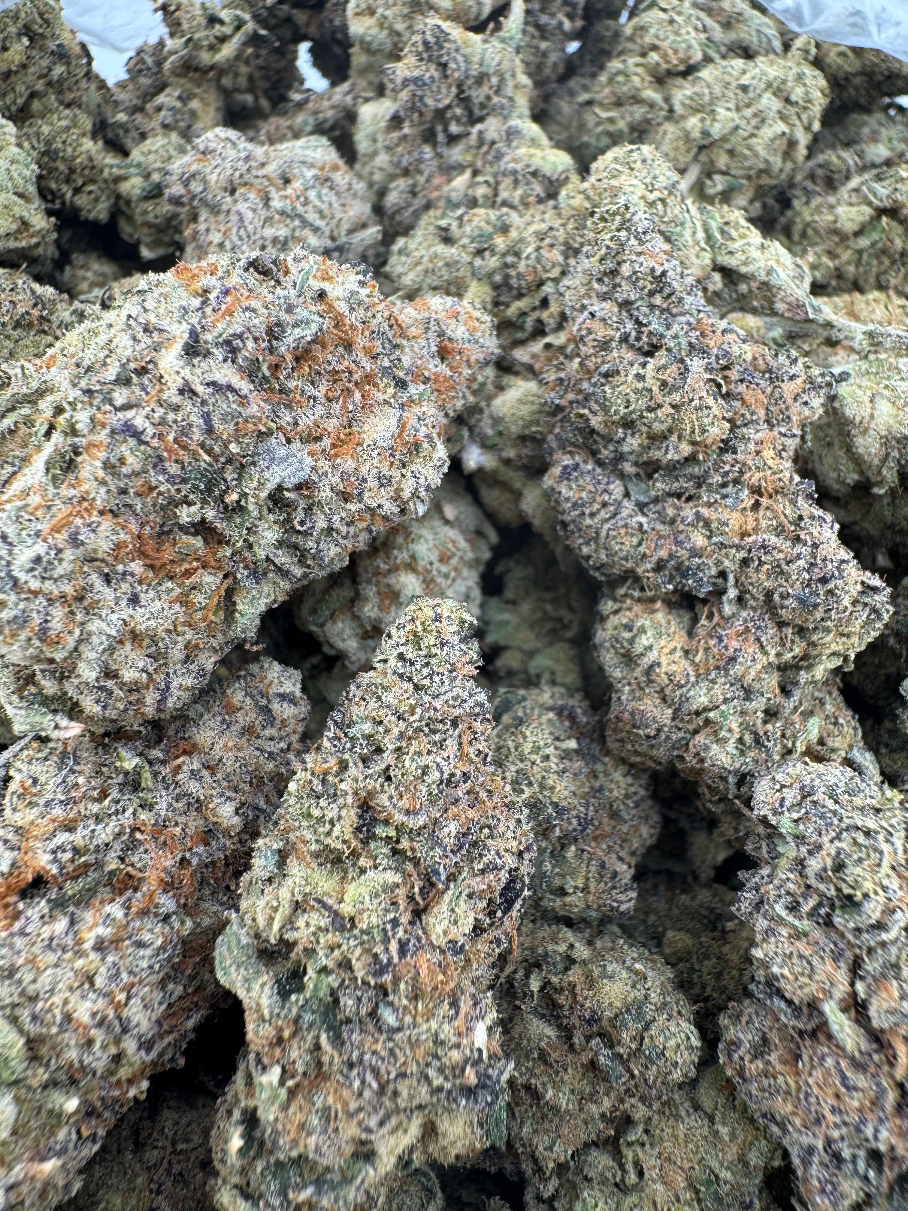 Black Mamba
