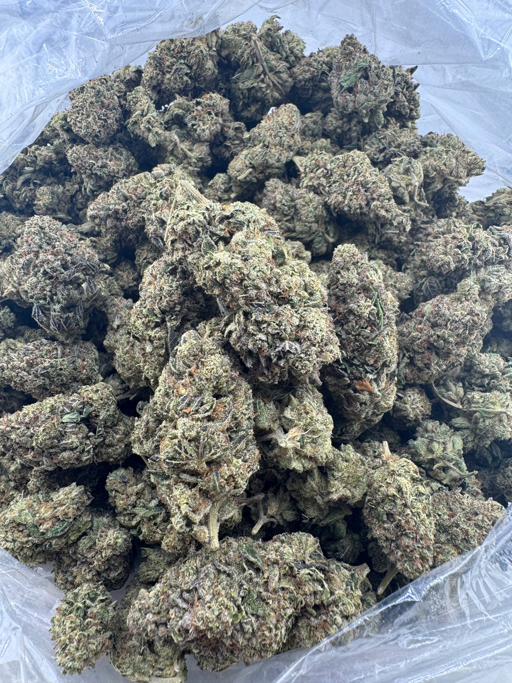 AAA Deps:Mod Grapes