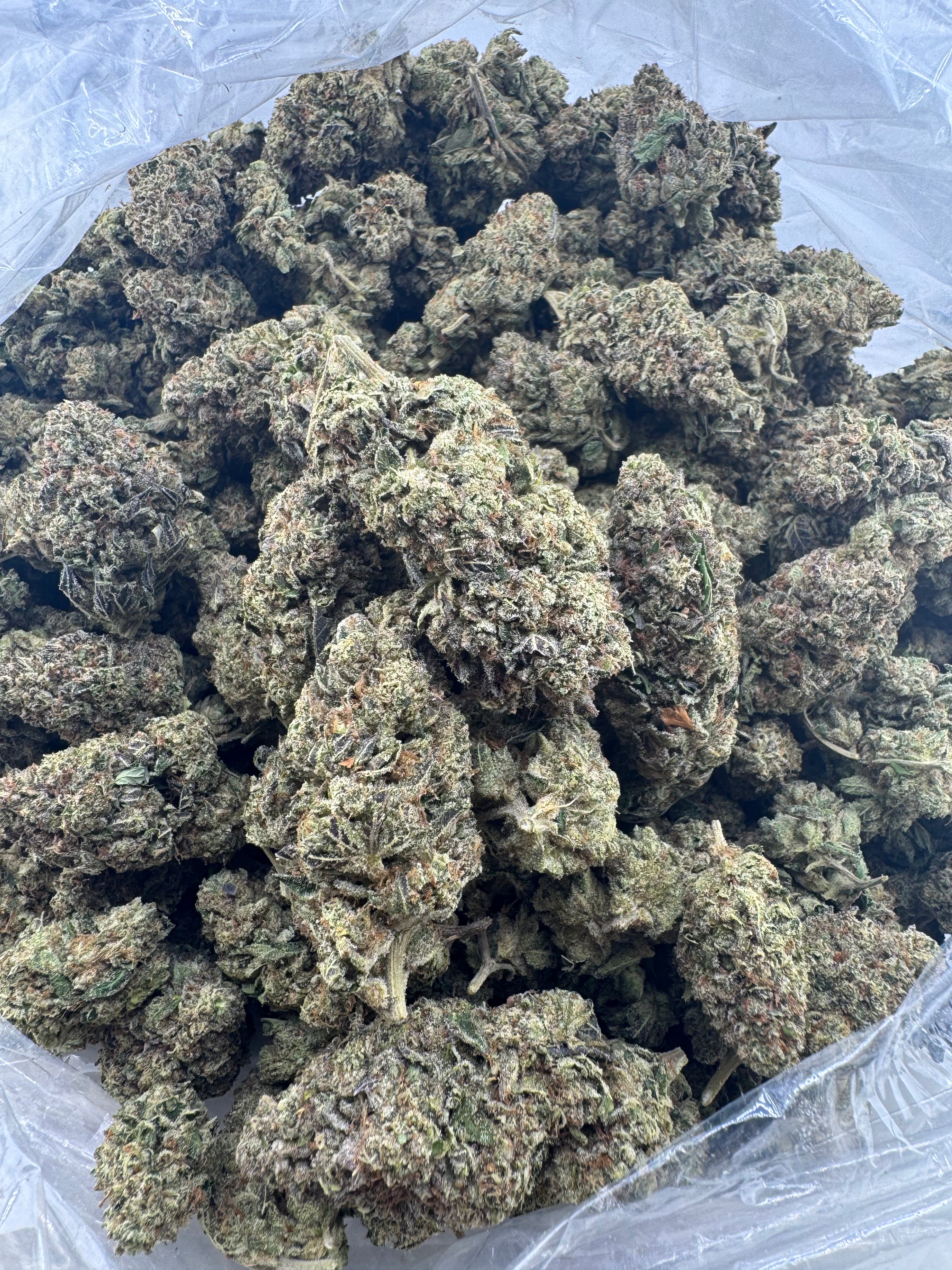 AAA Deps:Mod Grapes