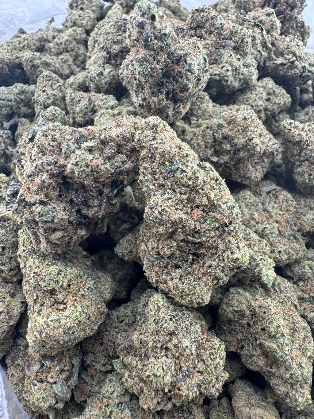 Martian Monster
