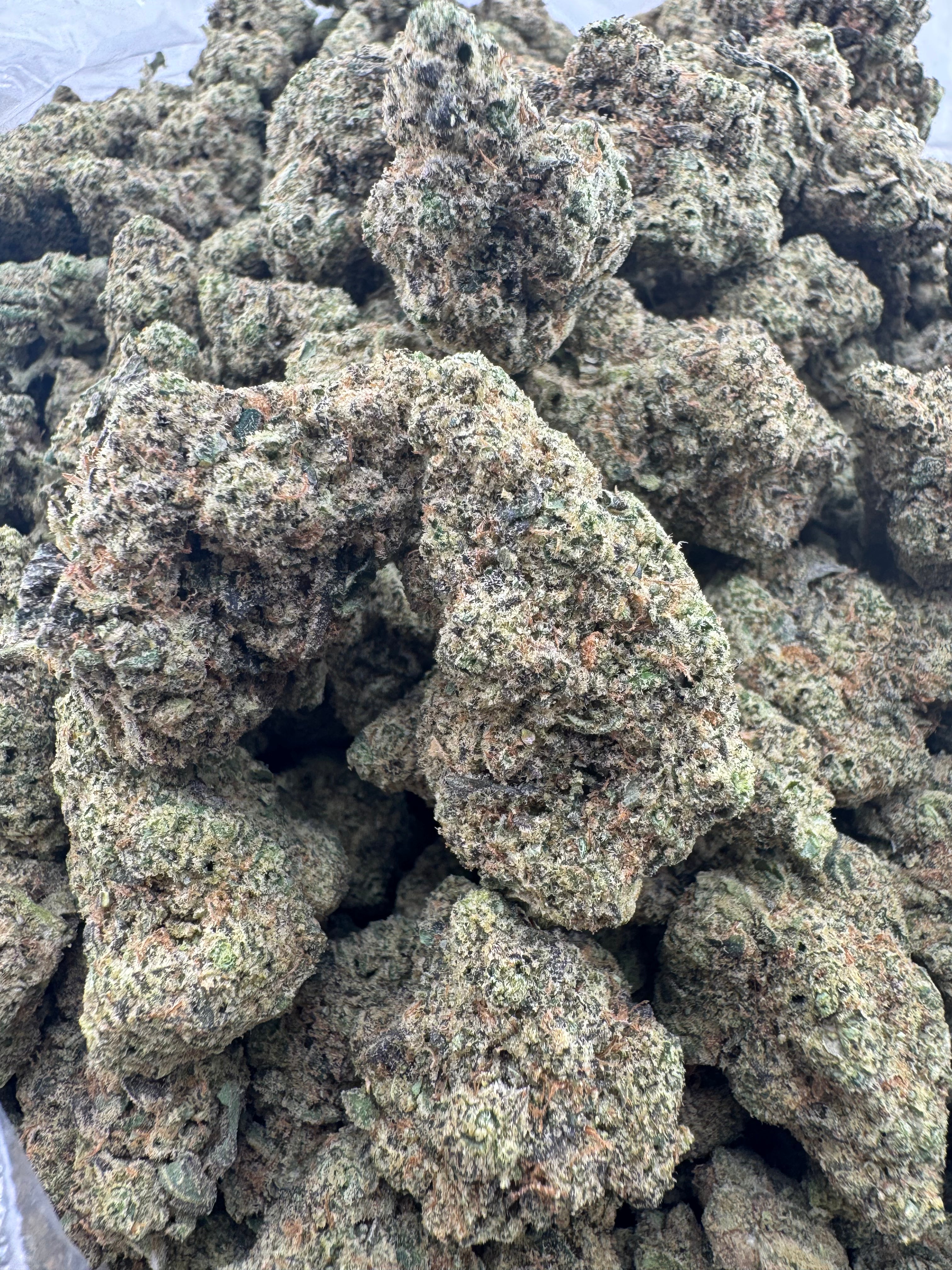 Martian Monster