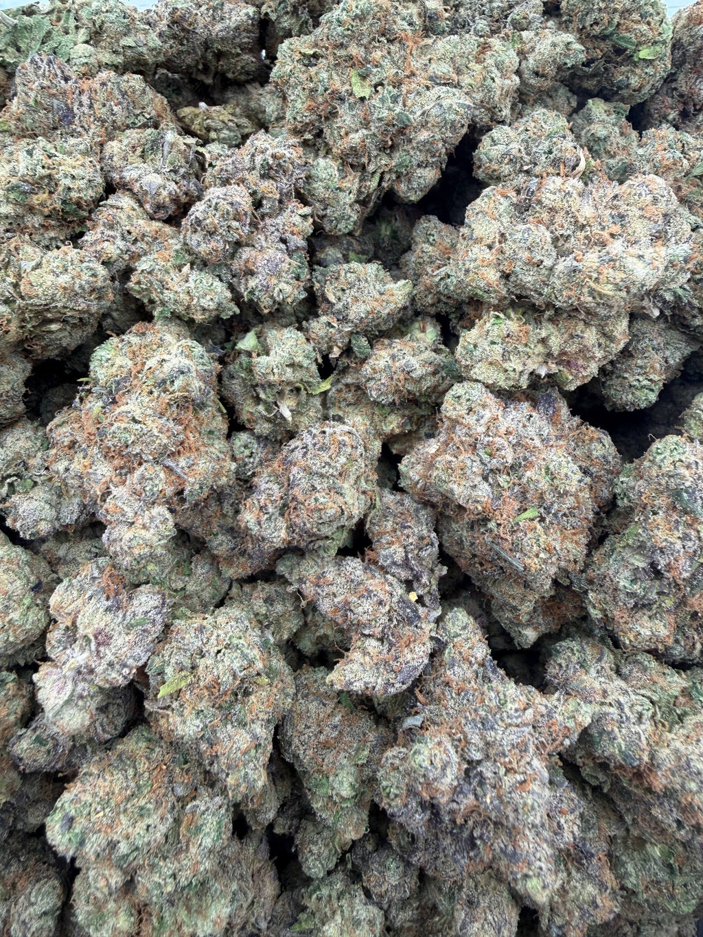 Zour Cheese