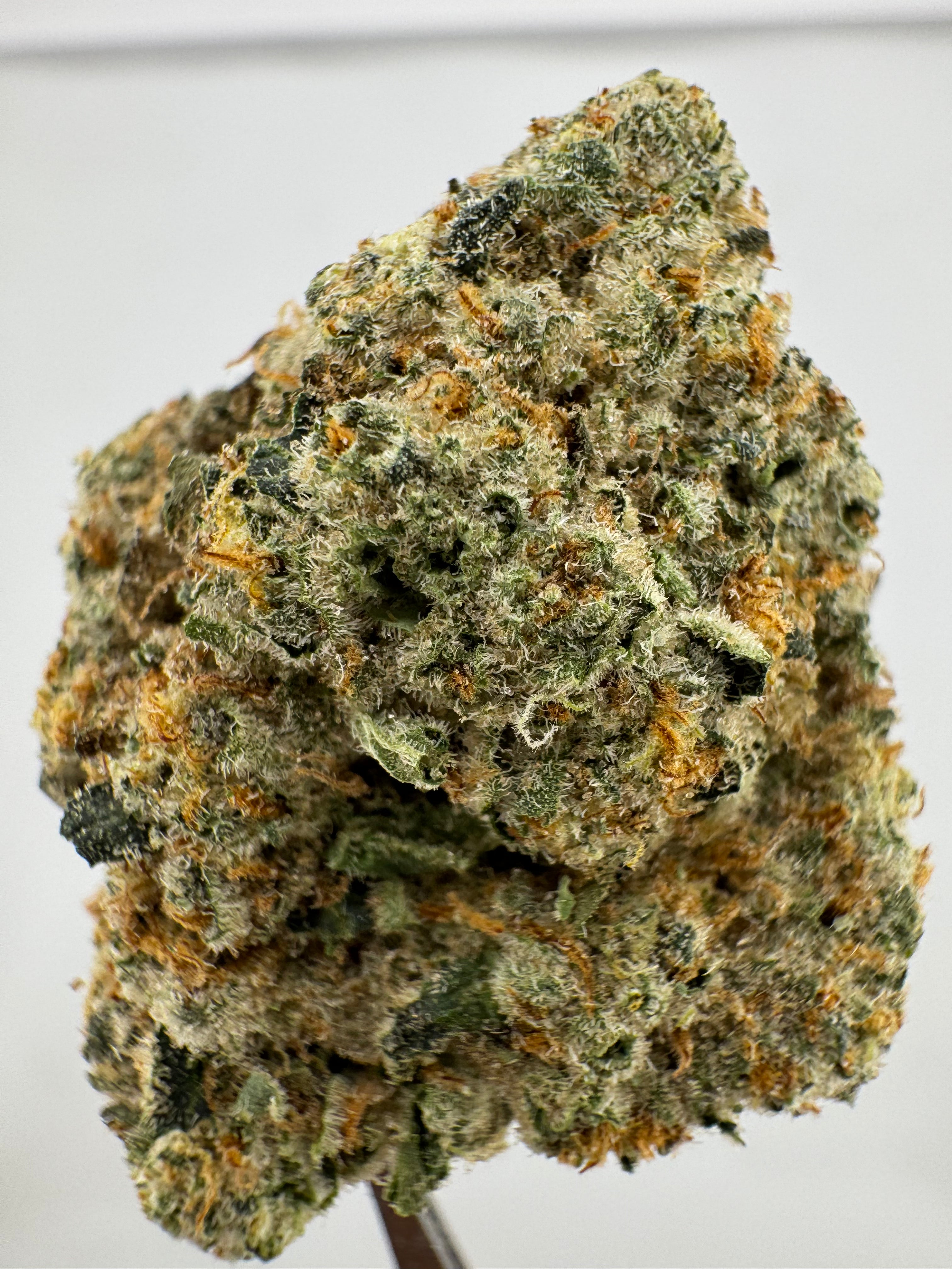 Jungle cake