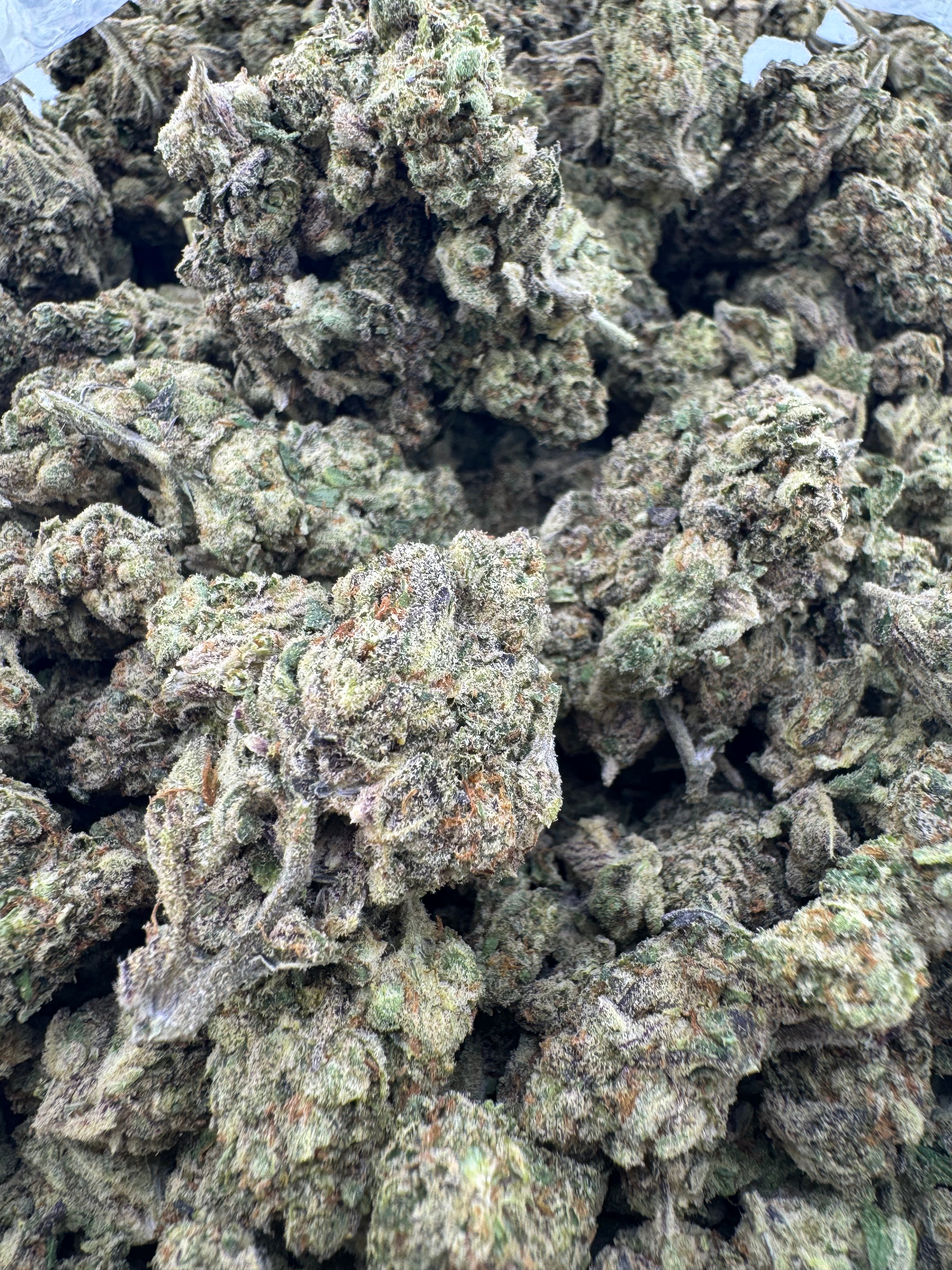 Dep:Candy Bubblegum