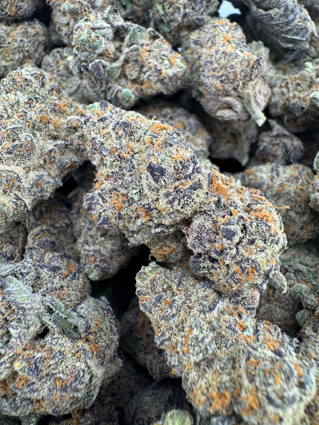 Roofie Gelato