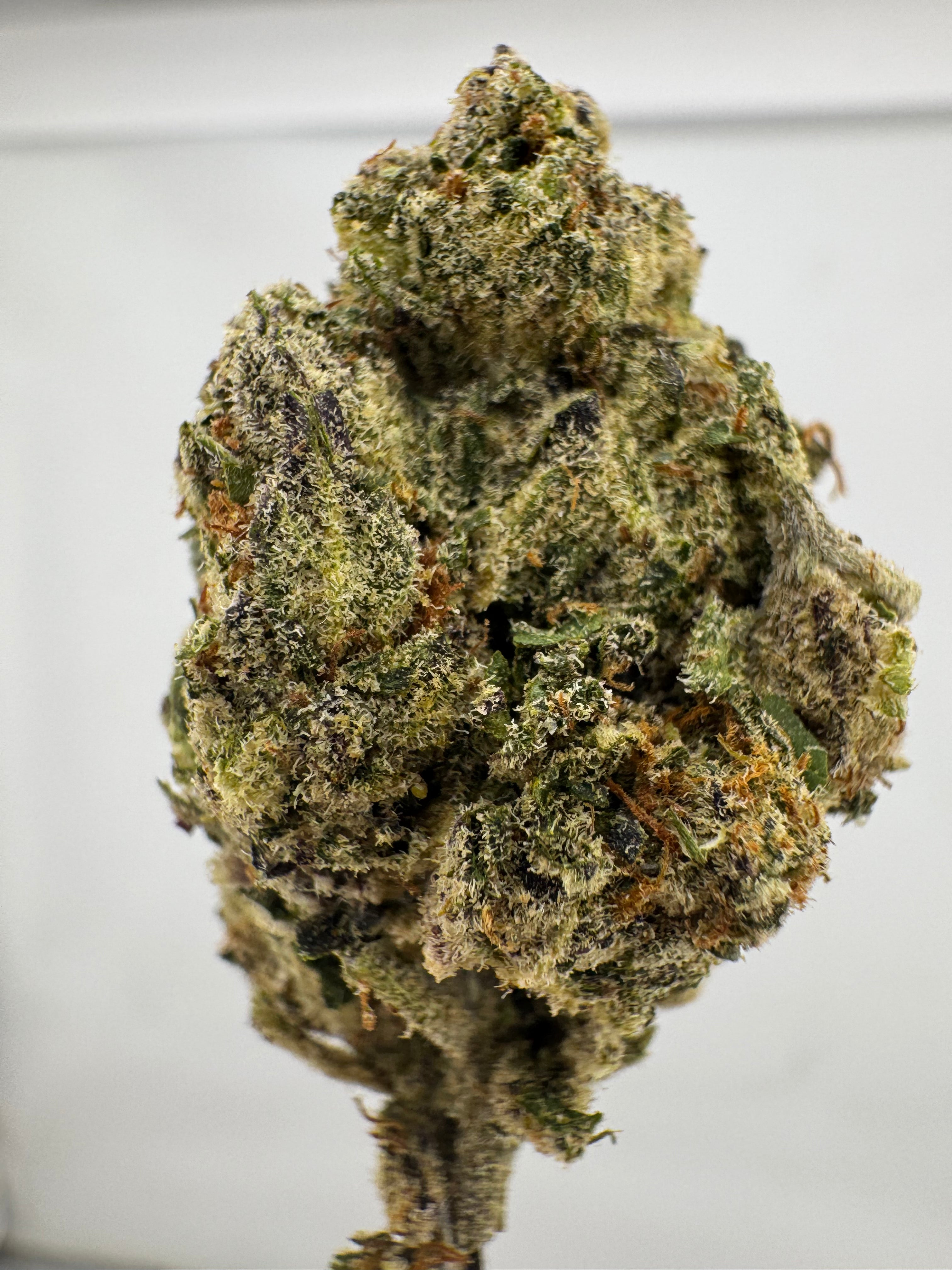 Dep:Candy Bubblegum