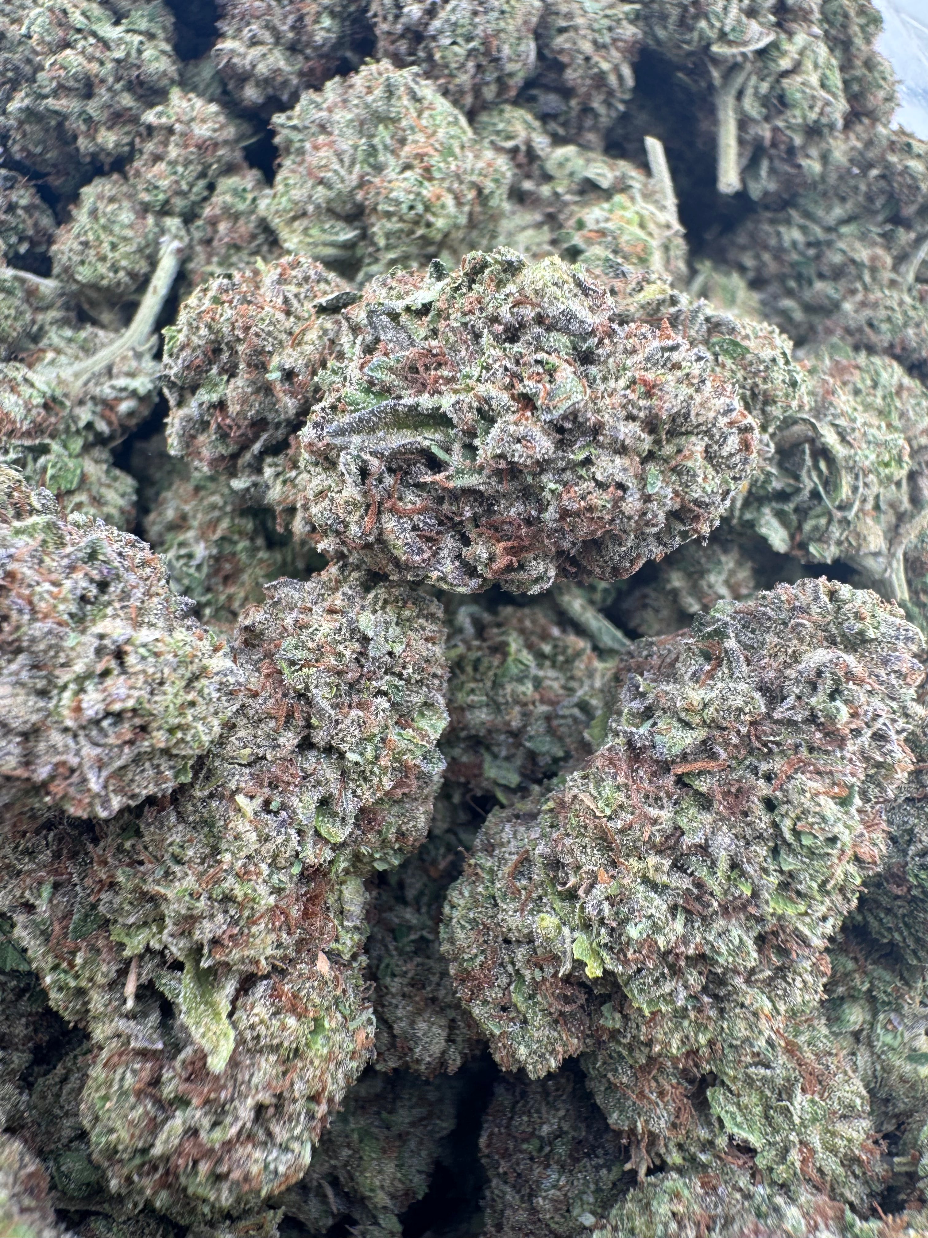 AAA Deps:Purple Cream