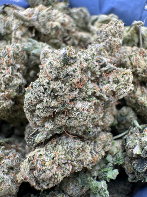 Alien cookies