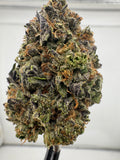 AAA Deps:Gelato 33