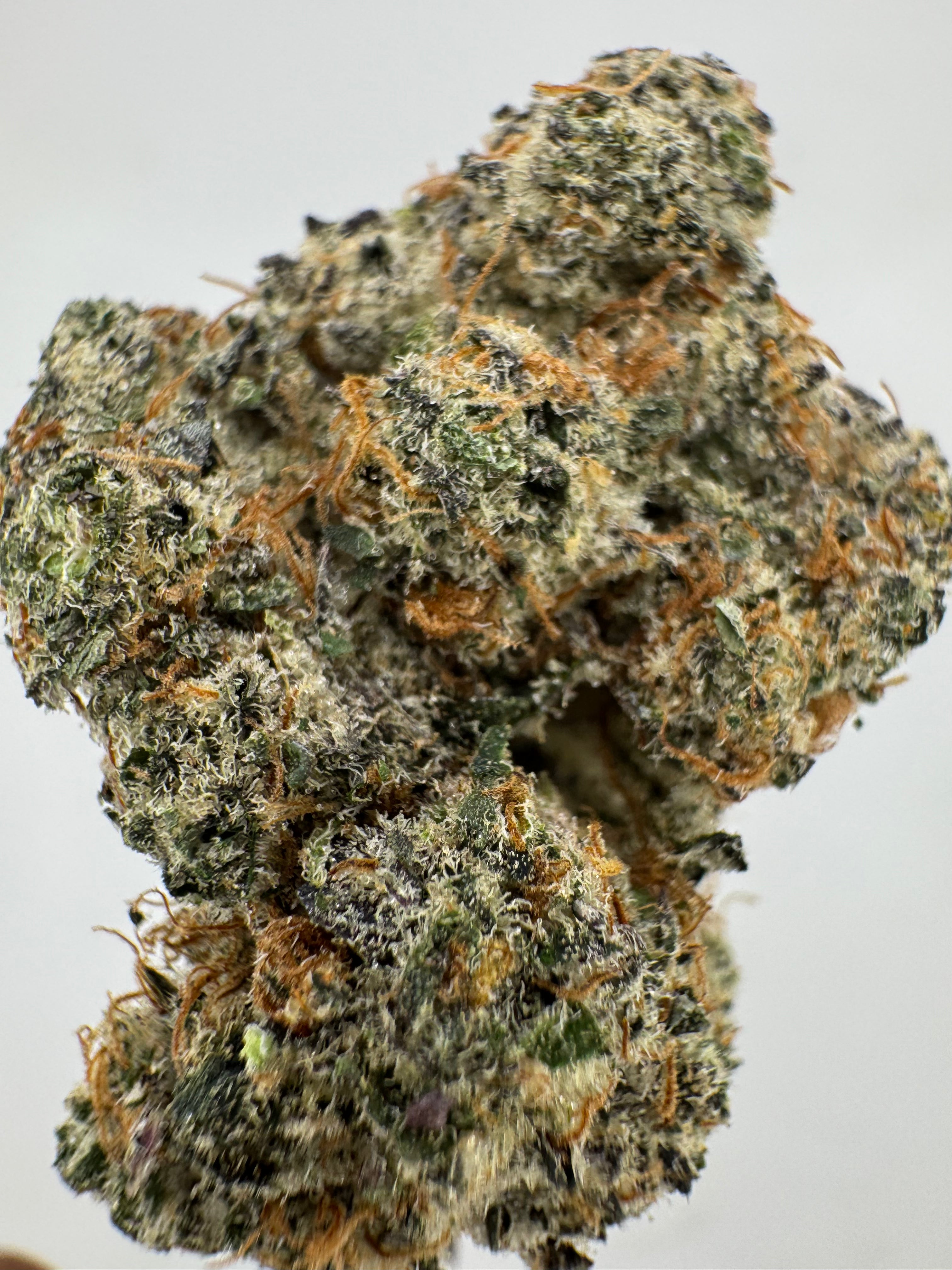 Frosted Flakes