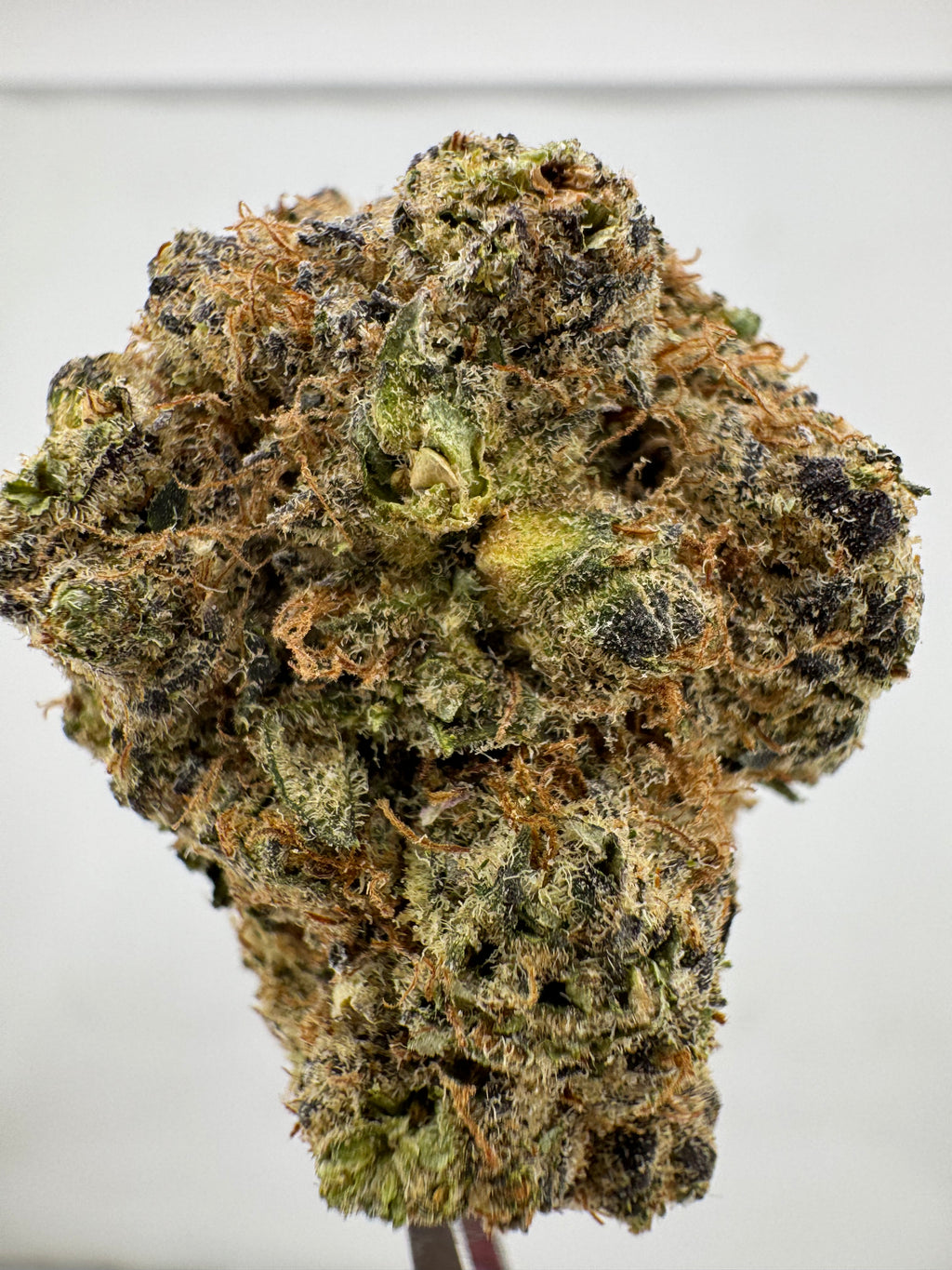 Monster Cookies