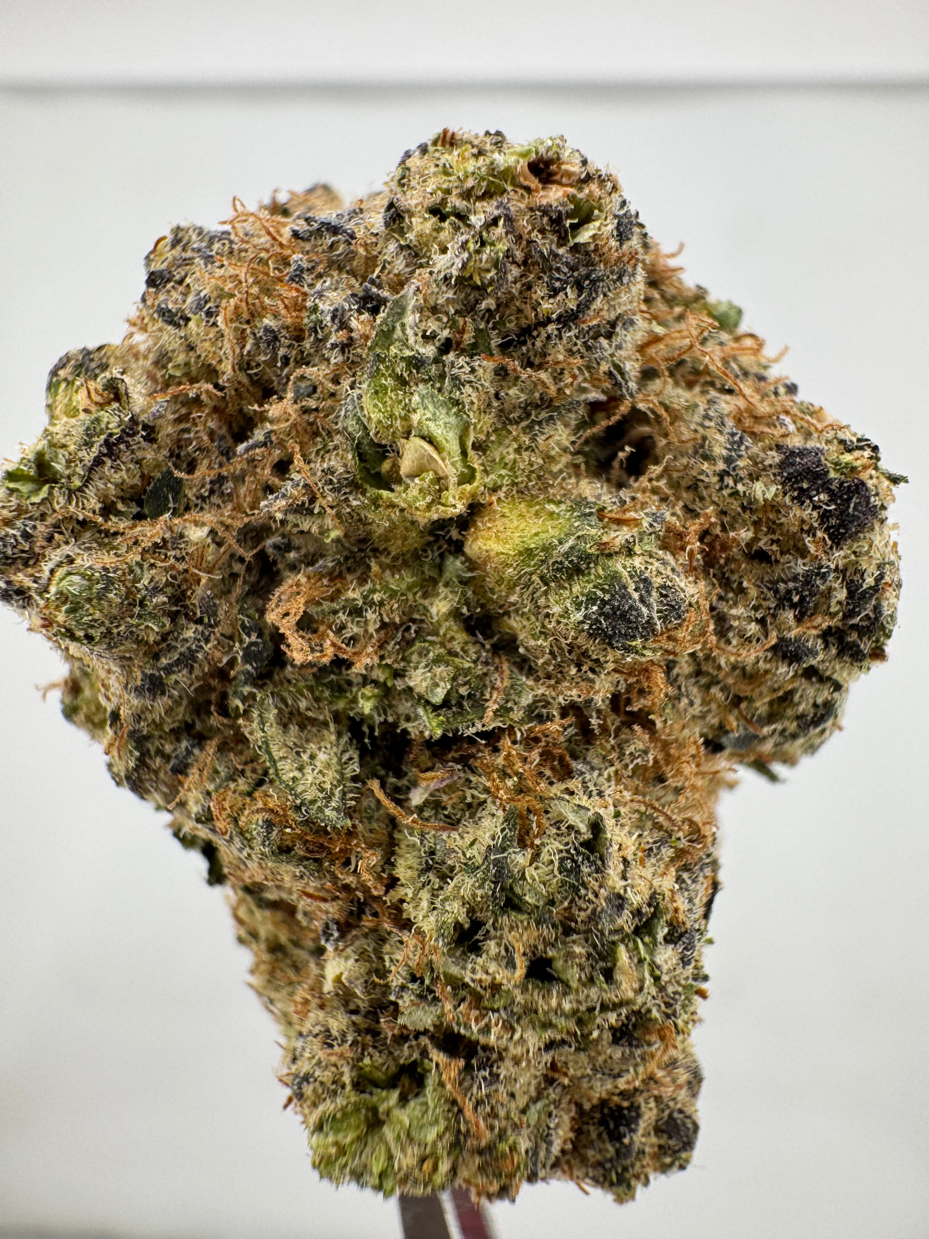 Monster Cookies