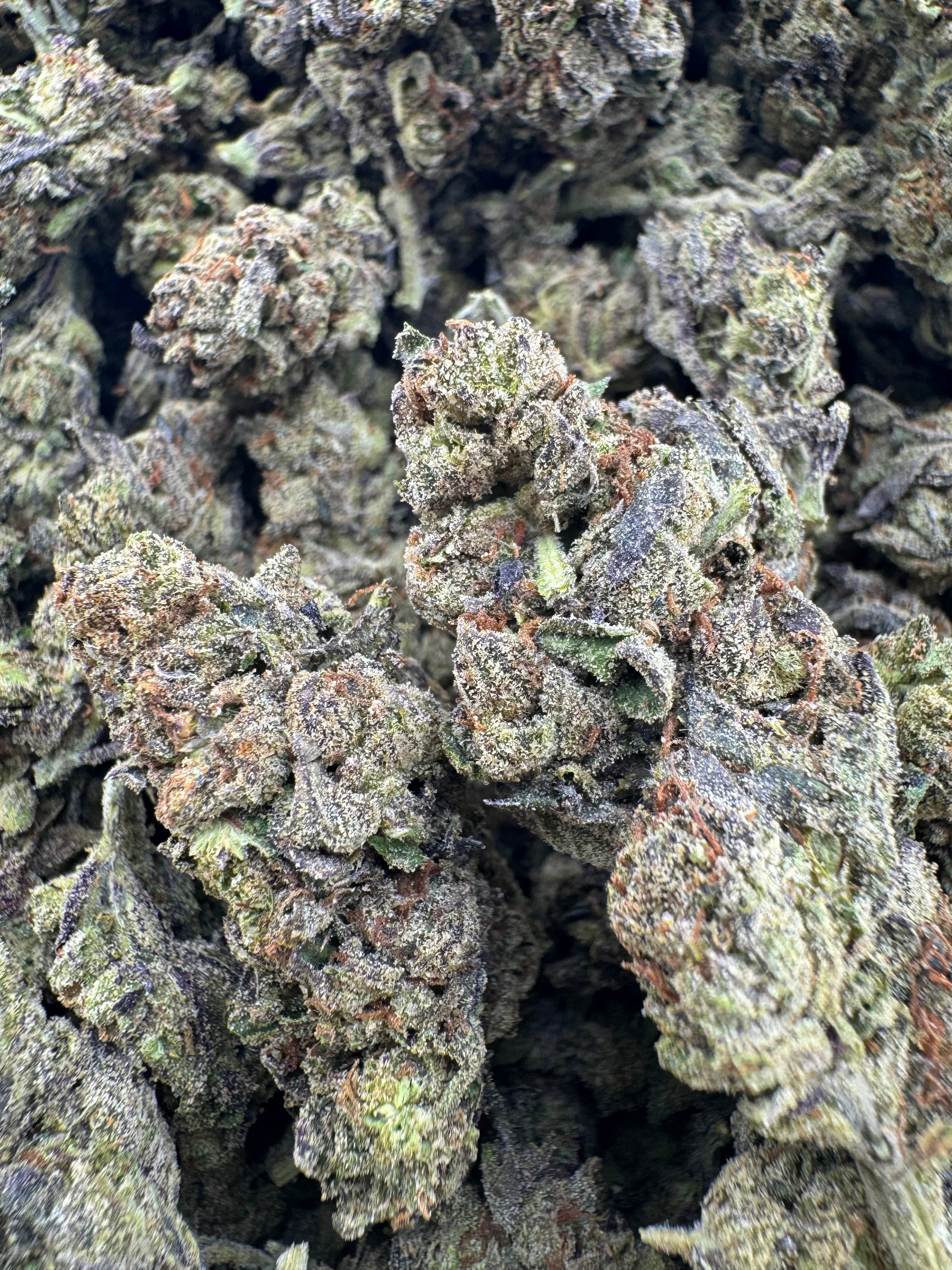 Dep:Candy Gumdropz
