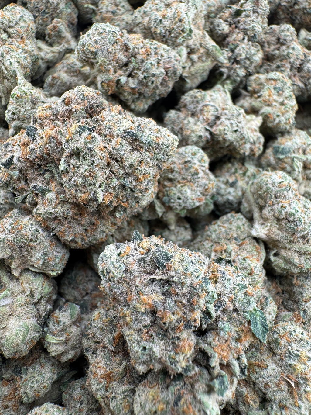Jungle cake