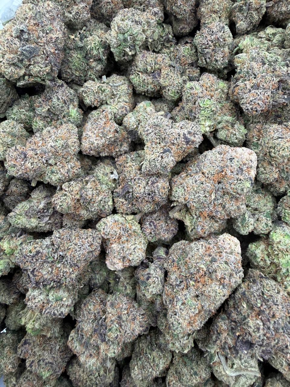 Candy Land