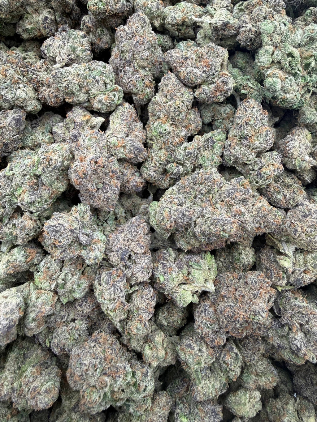Kool-aid Jammerz