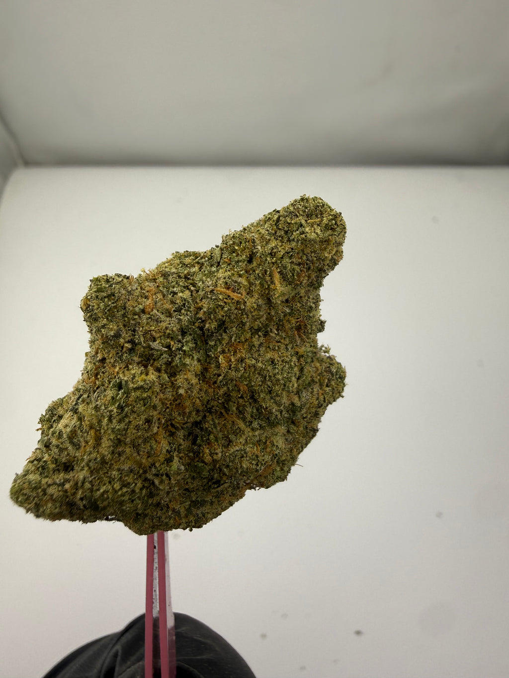 Yoda