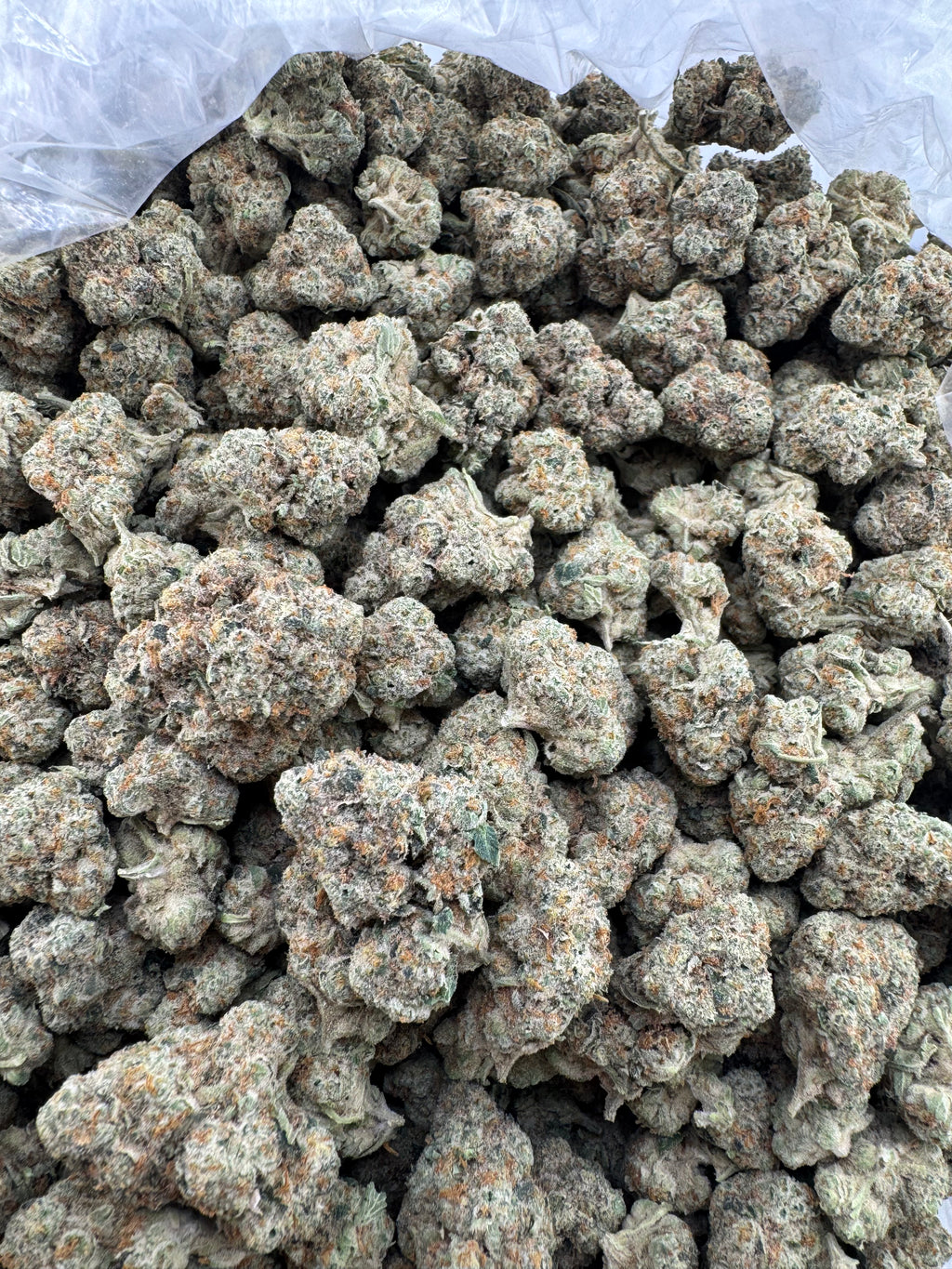 Jungle cake