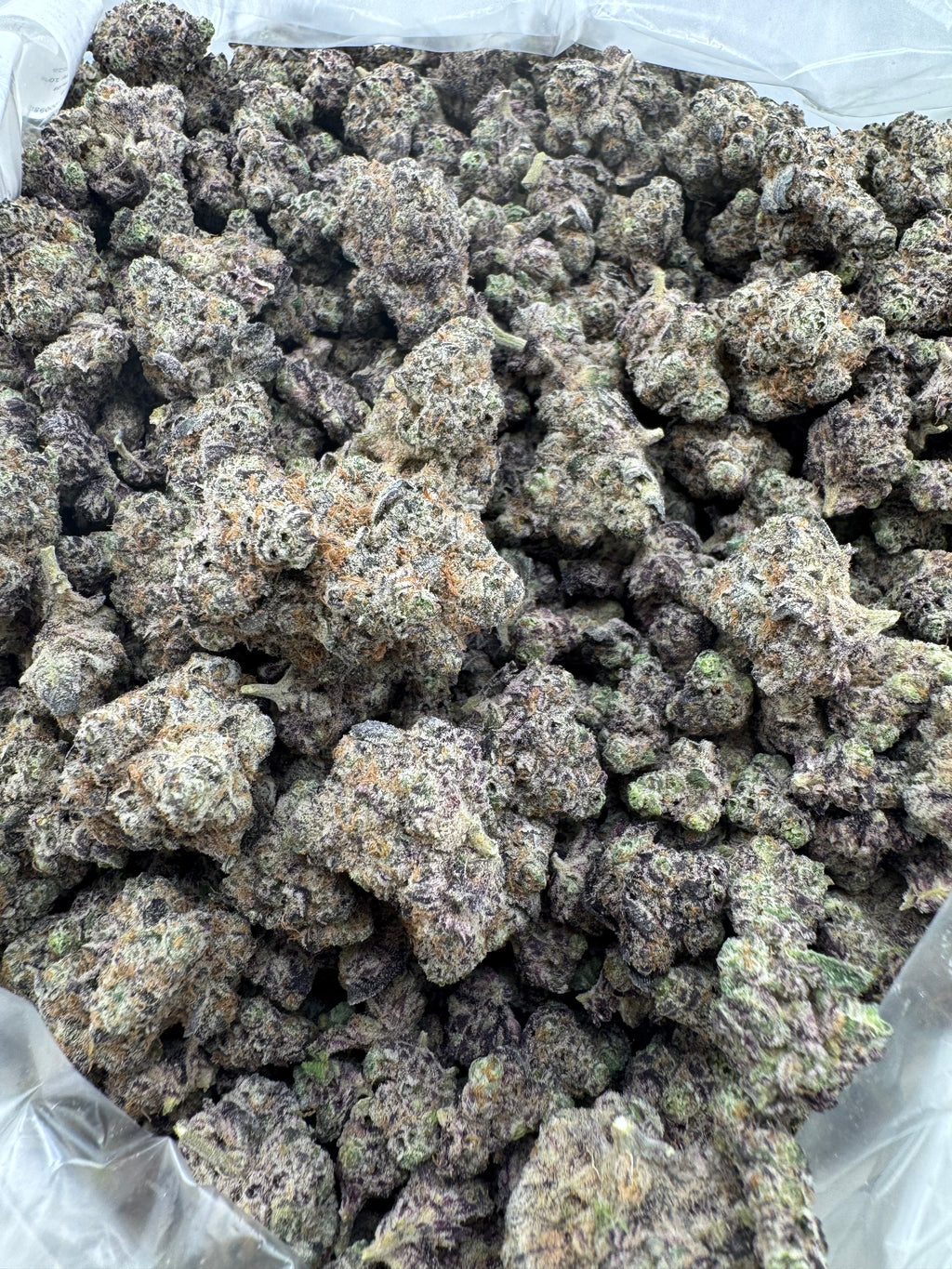 Coco Puffs M