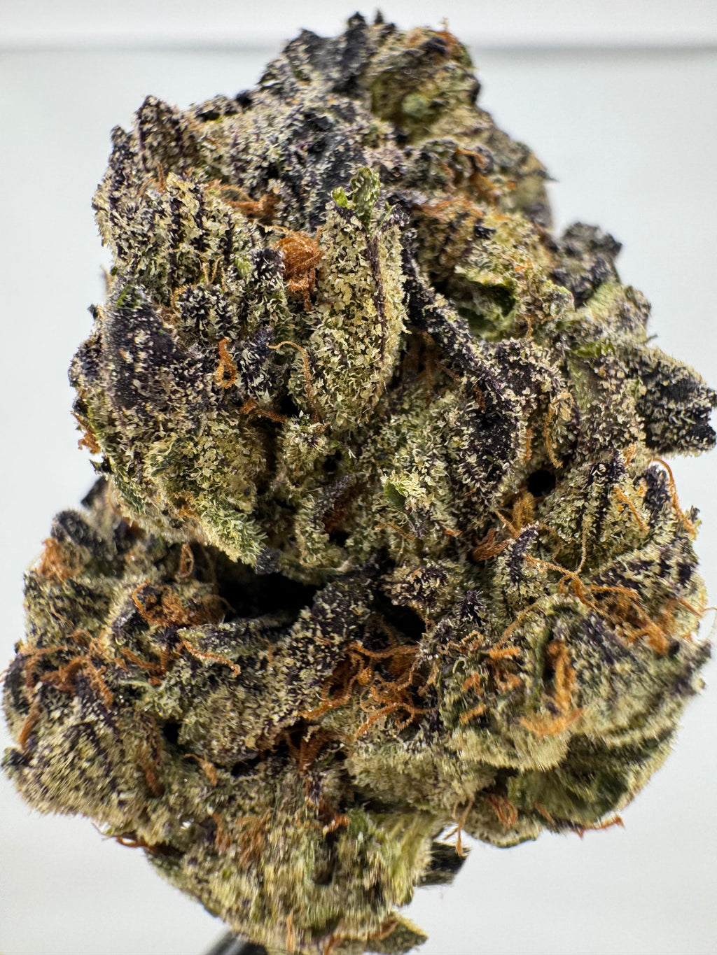 Dep:Purple Cream