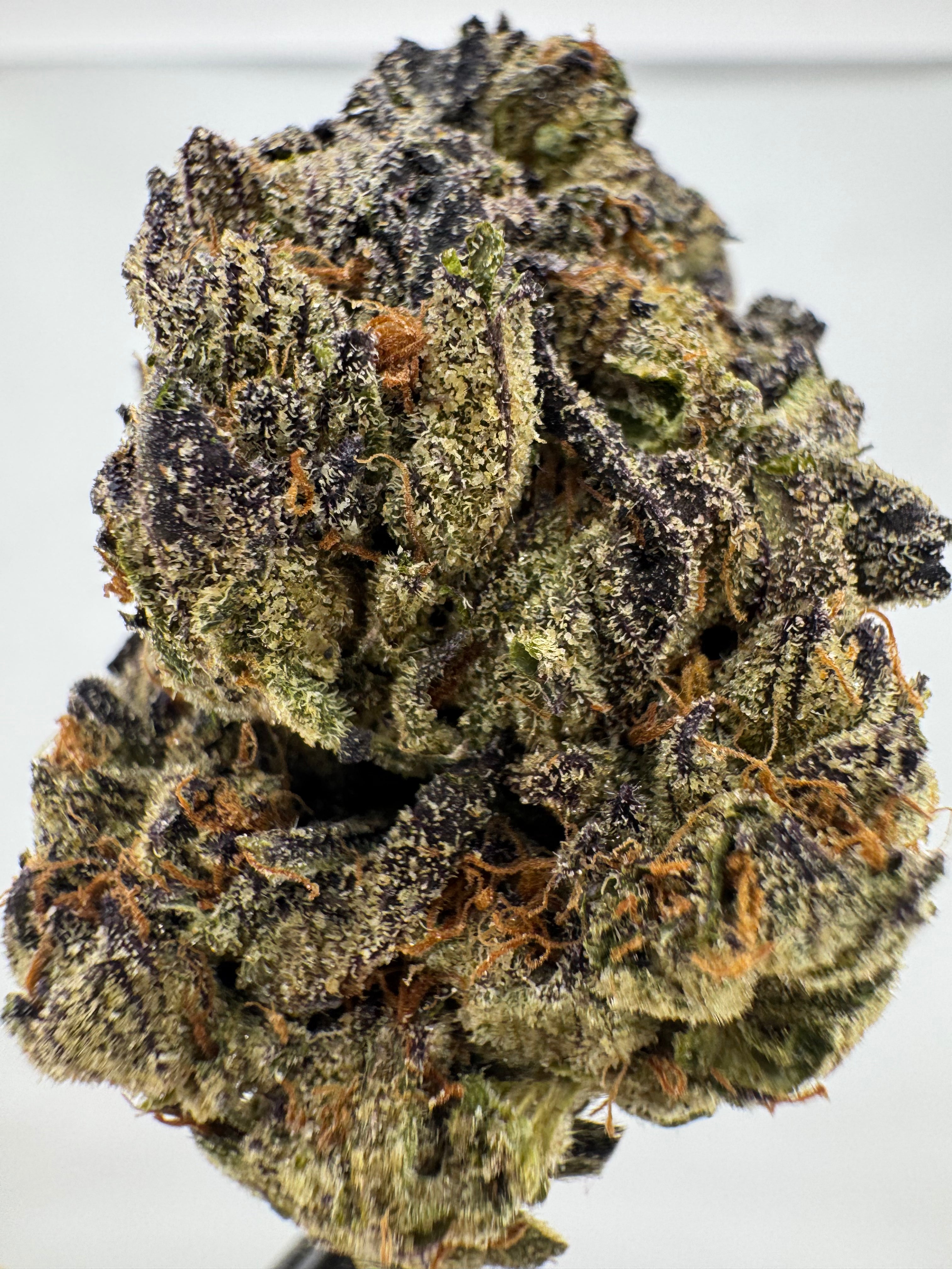 Dep:Purple Cream