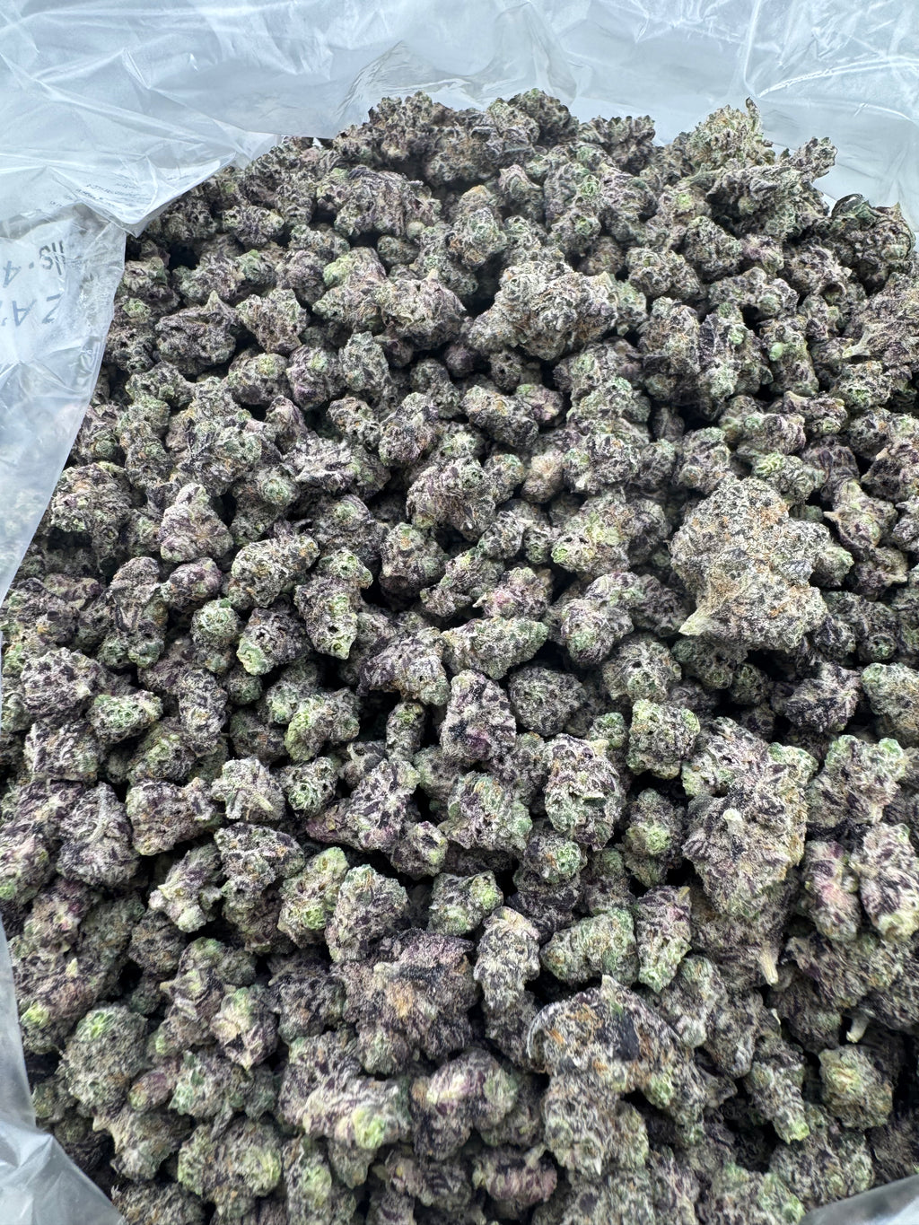 Coco Puffs Sm