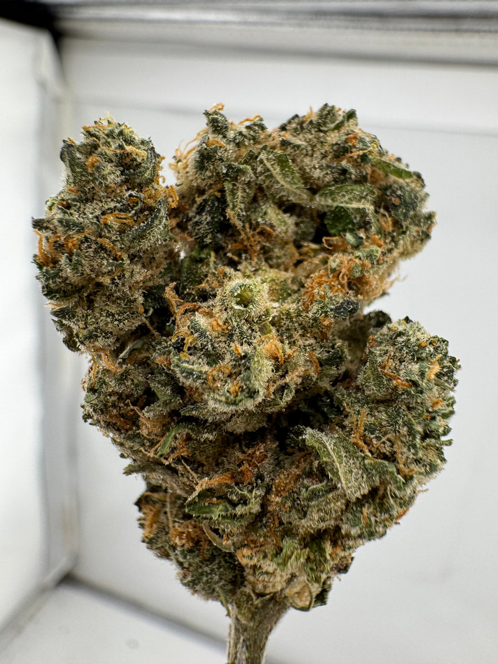 Cherry punch