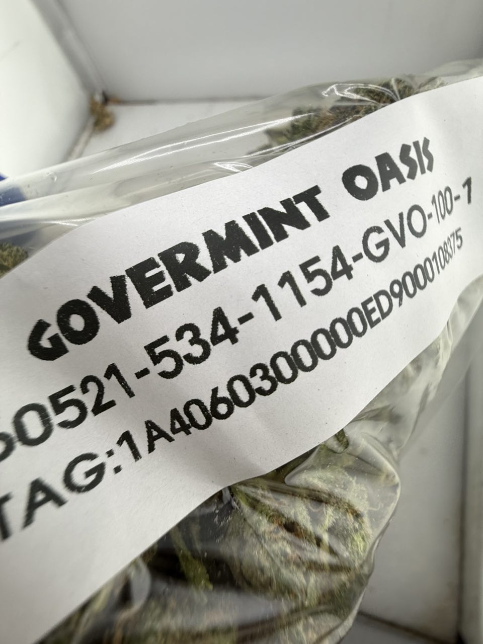 Government  Oasis