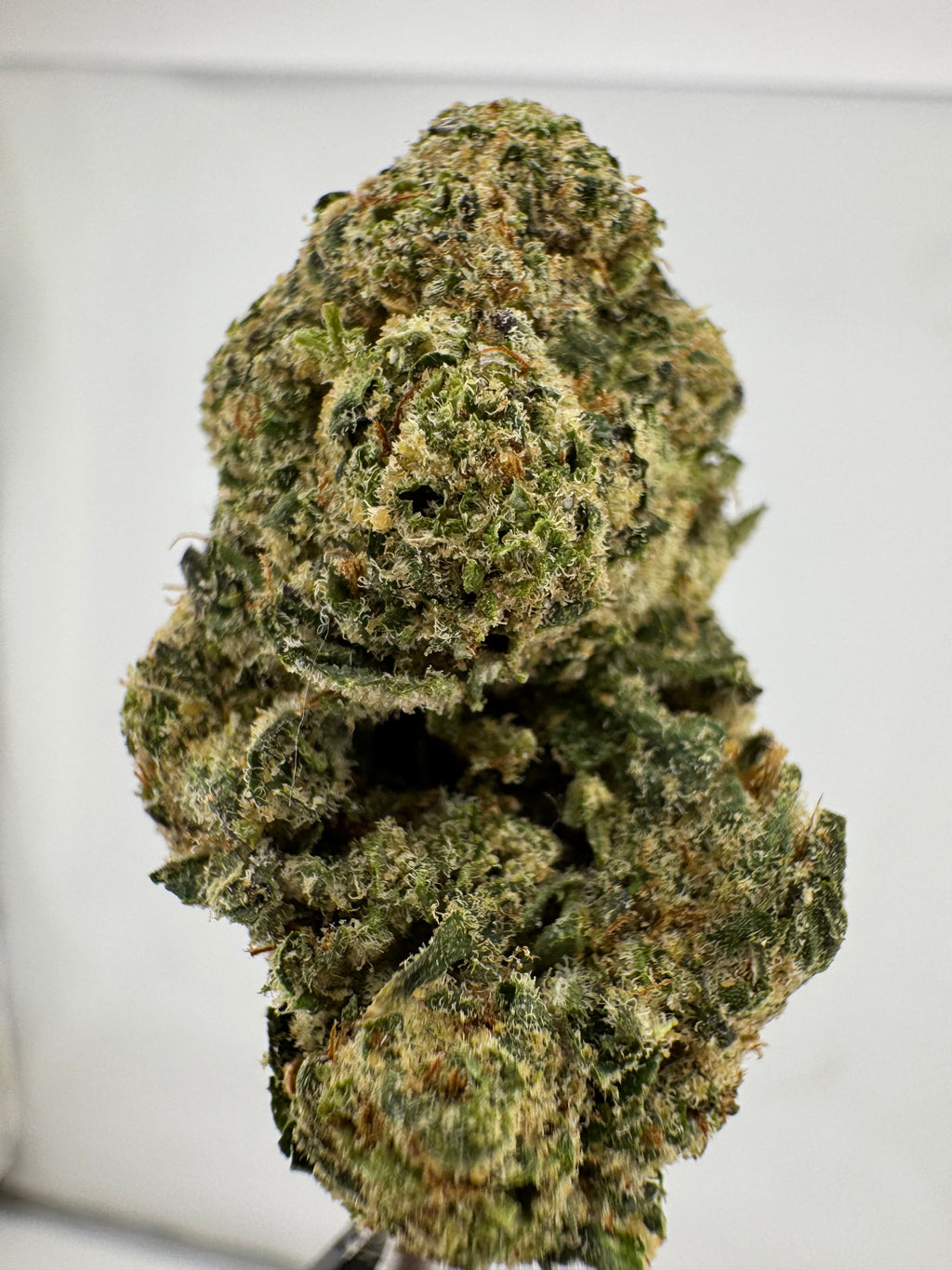 Orange creamsicle