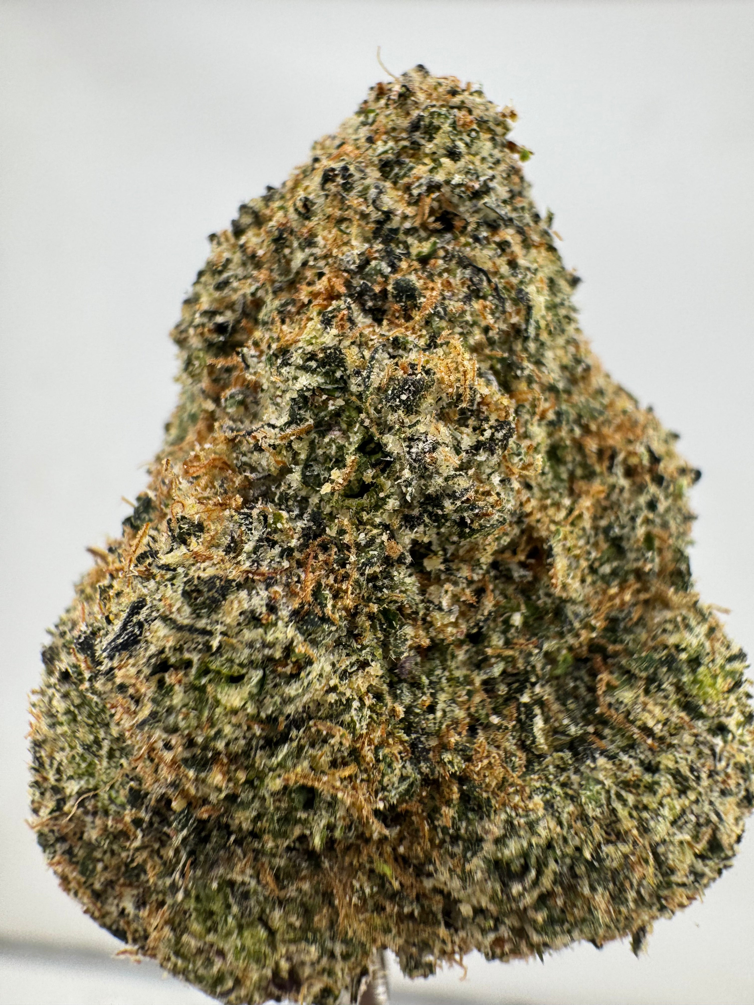 Rainbow Sweet Tartz