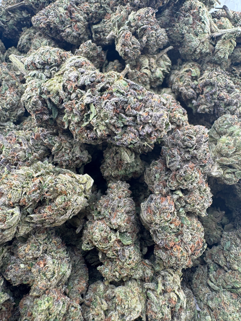 AAA Deps:Gelato Punch