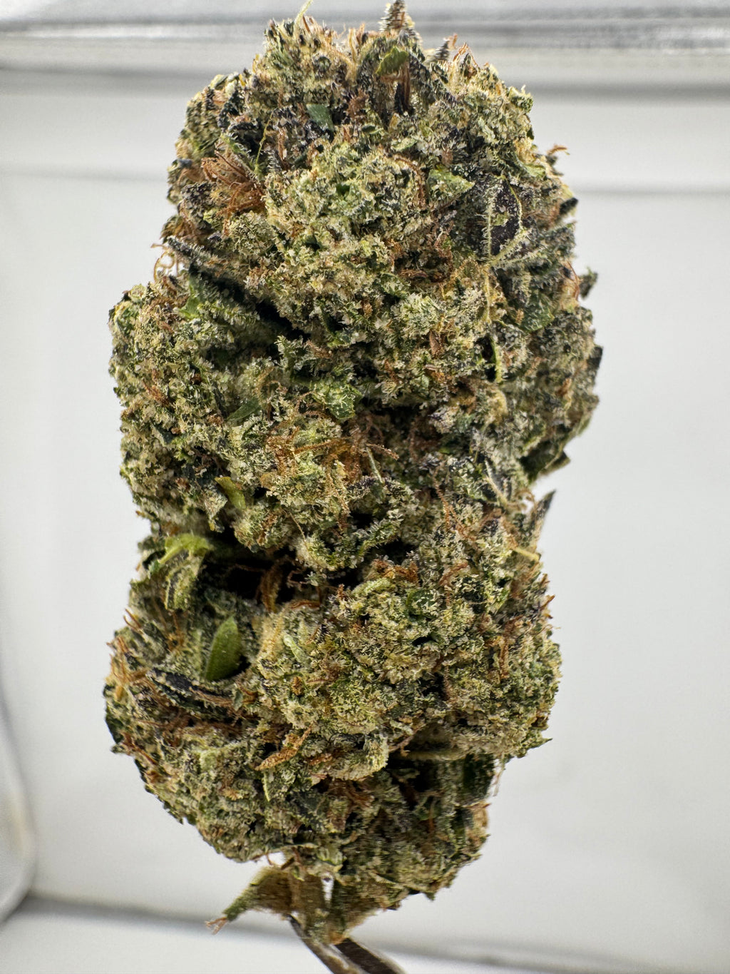 AAA Deps:Mod Grapes