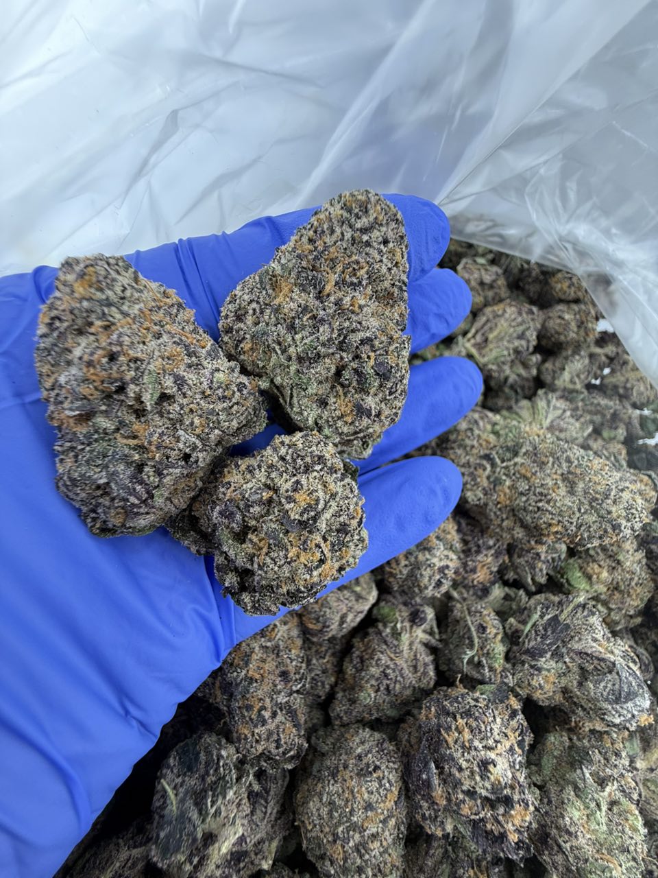 Peanut Butter Breath Za