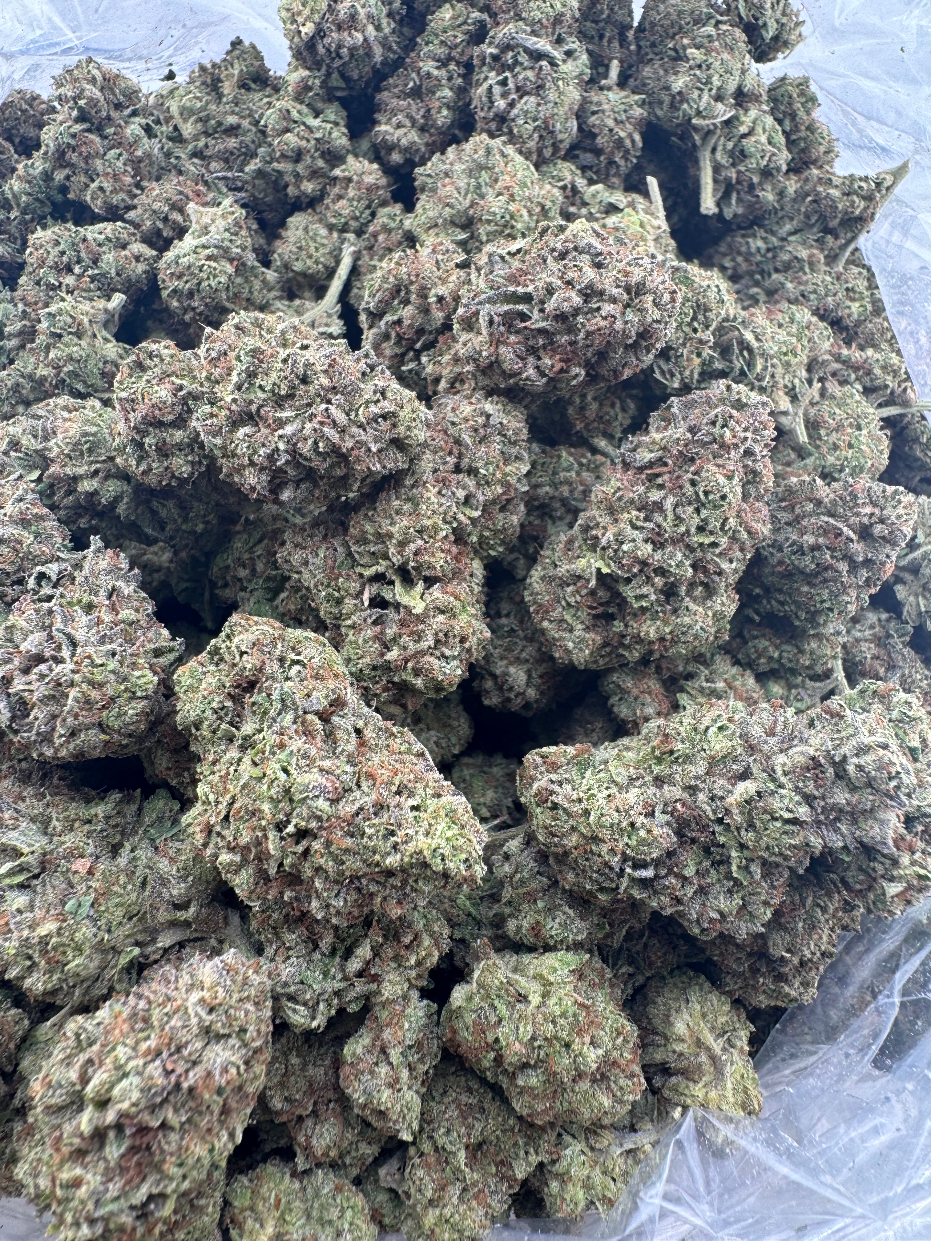 AAA Deps:Purple Cream