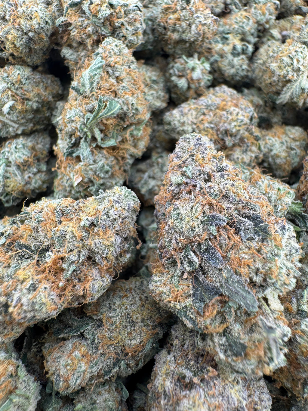 Thin Mints