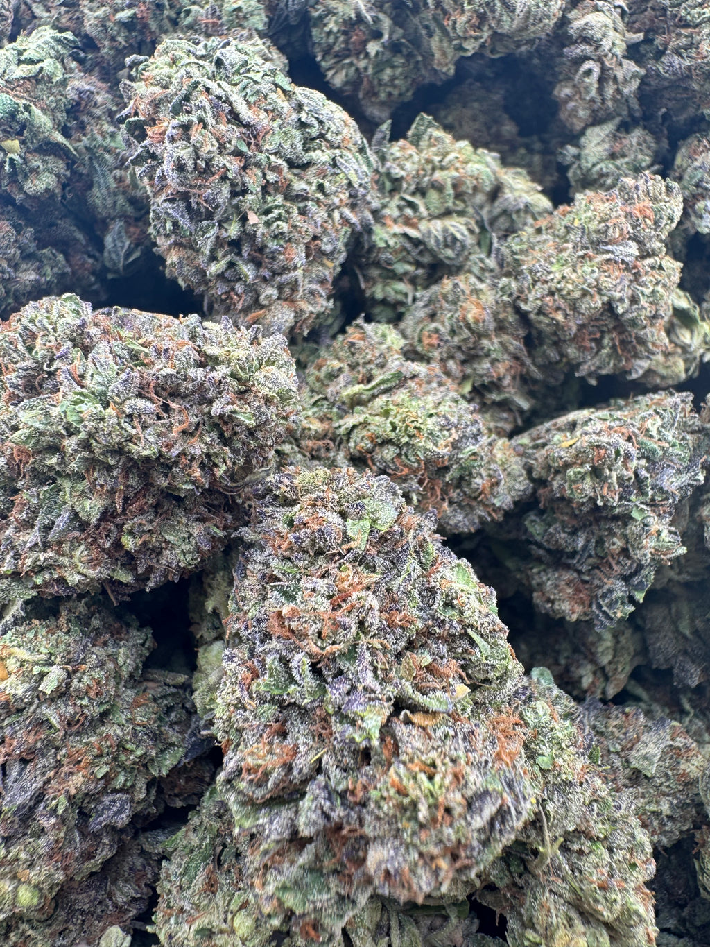 AAA Deps:Gelato 33